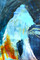 "Mountain Cave" Collection, Oil on Paper, #1 Series