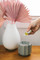 Home Fragrance Oil - Sweet Grace