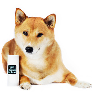 Dry Shampoo for Cats and Dogs, "Dry Shampoo For Paws," Natural