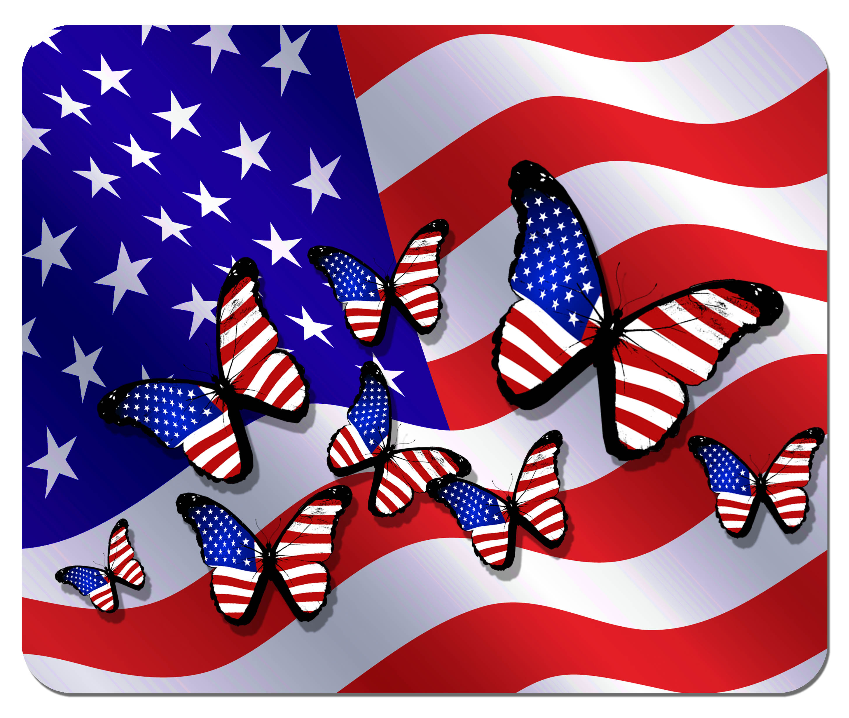 american-butterflies-copy.jpg