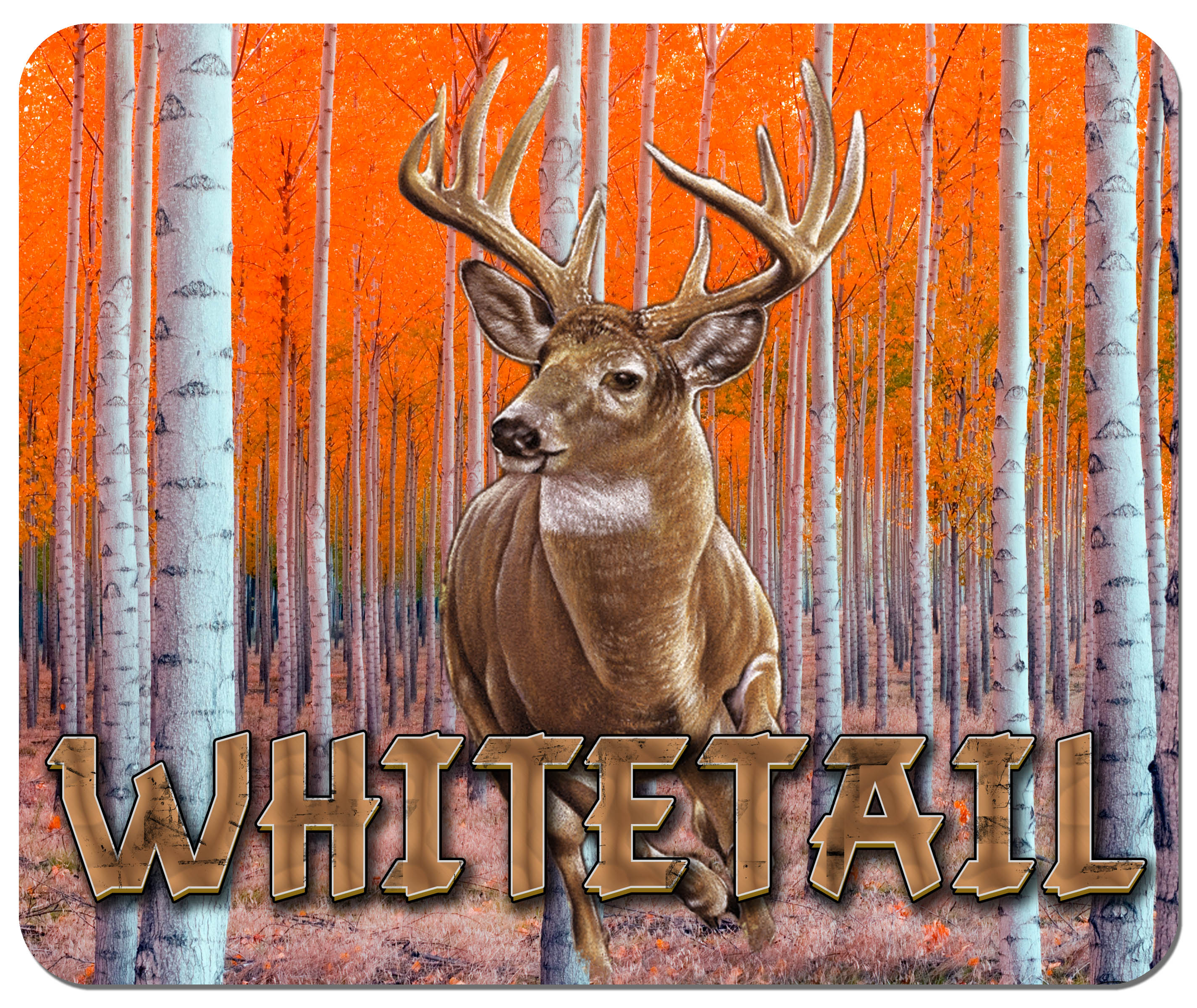 whitetail-deer-copy.jpg