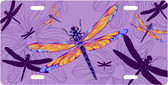 Rainbow Dragonflies License Plate Tag