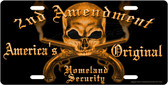 Second Amendment Skull License Plate Tag