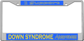 Down Syndrome Awareness License Plate Frame Tag