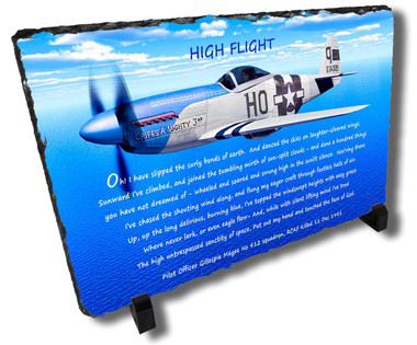 Decorative Aviator Stone Plaque