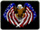 USA Eagle Trailer Hitch Plug Front View