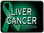 Liver Cancer Awareness Trailer Hitch Plug Front View