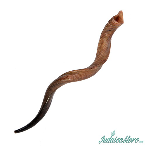 How to Properly Blow The Shofar Judaica More