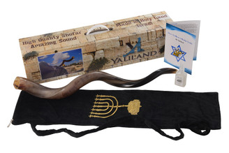 SHOFAR Set Full Polished Kudu Horn Yemenite + Bag + Spray + Guide + Carrying Box Case (30"-32")