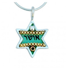  Happiness Star of David Necklace by Ester Shahaf