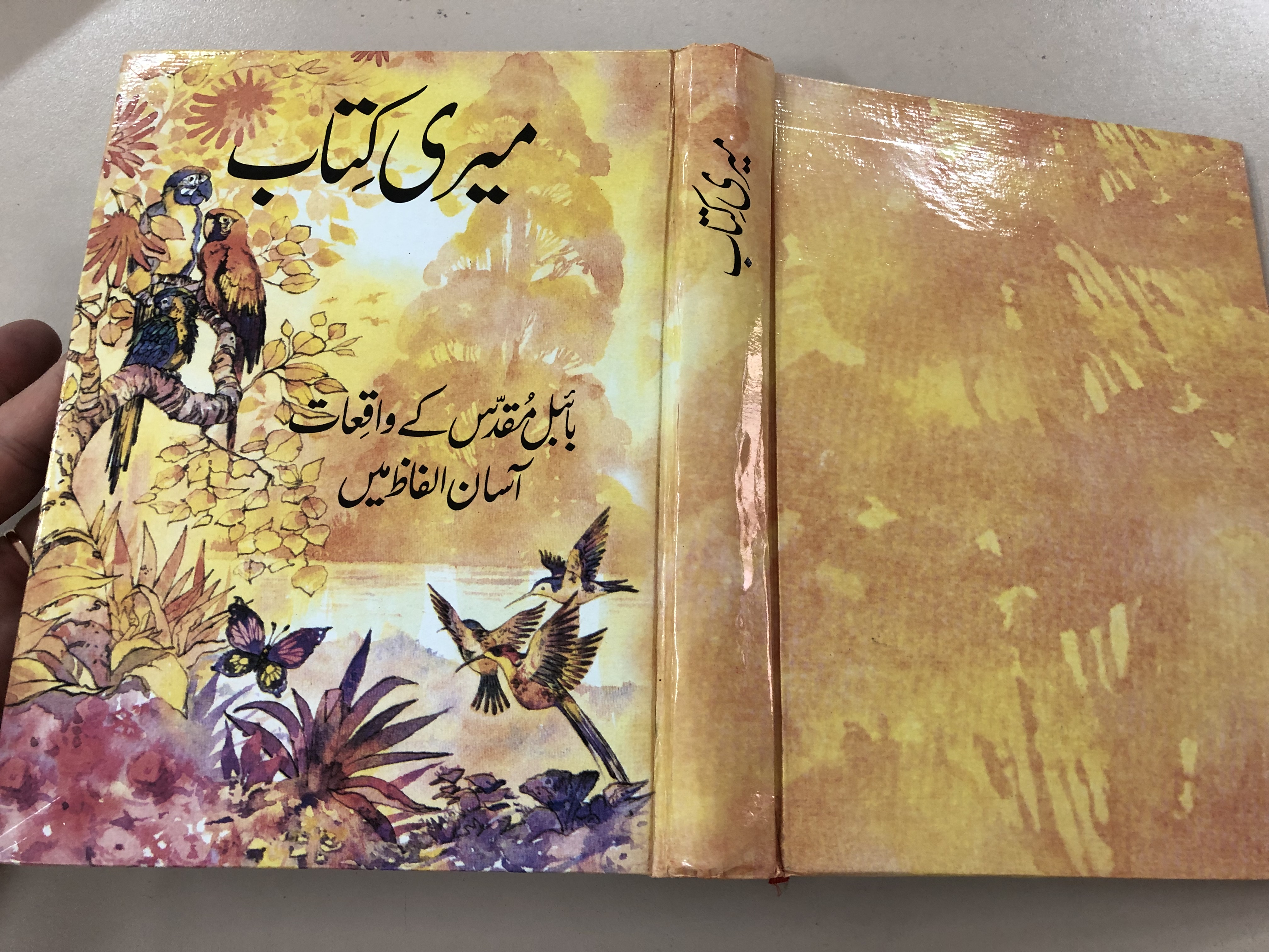 -urdu-translation-of-the-children-s-bible-by-anne-de-vries-kleutervertelboek-voor-de-bijbelse-geschiedenis-hardcover-2019-15-.jpg