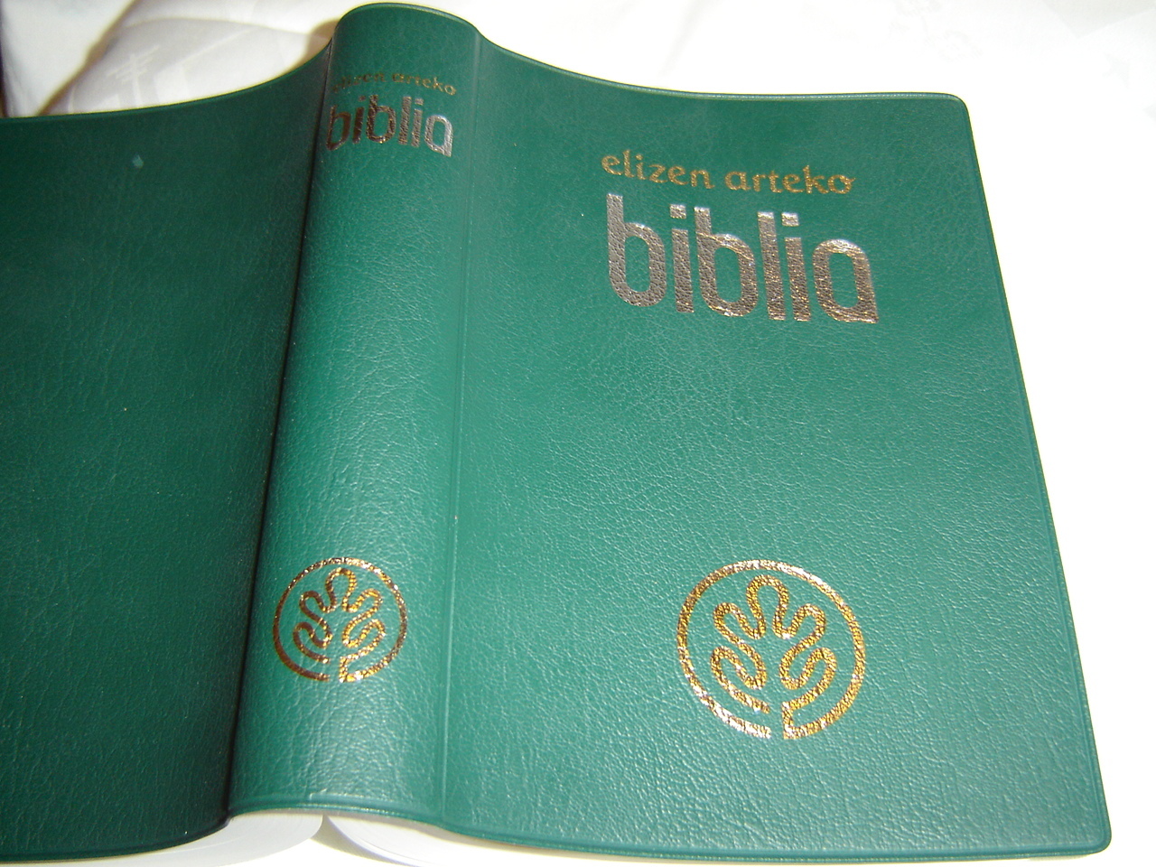 Beautiful Green New Edition BASQUE BIBLE / ELIZEN ARTEKO BIBLIA ...