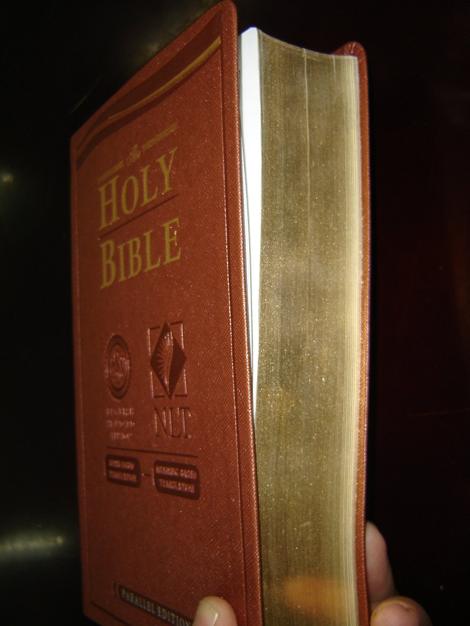 Nice Brown Stylish Binding, introducing the ESV - NLT HOLY BIBLE
