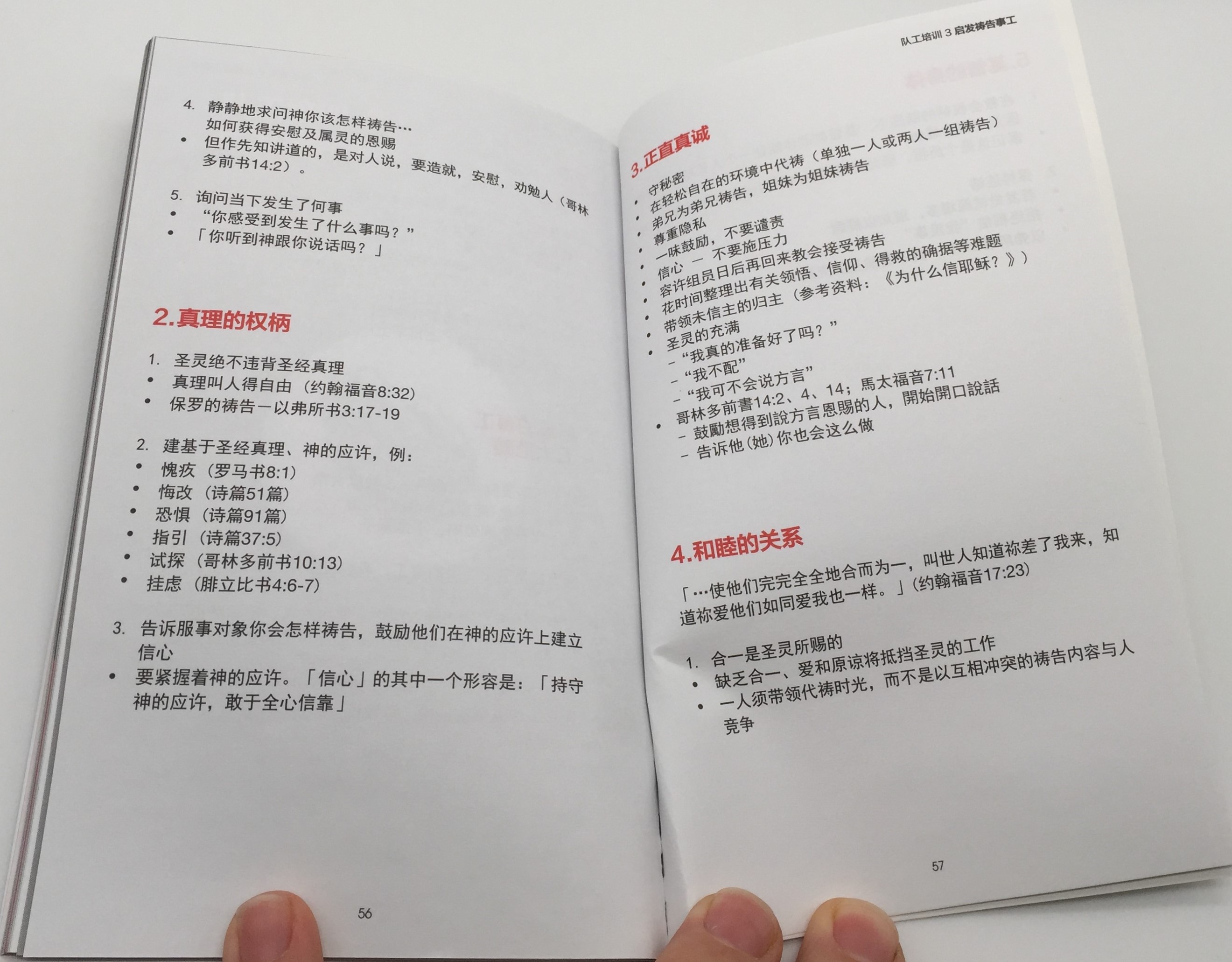 Alpha Team Guide (Chinese Edition)