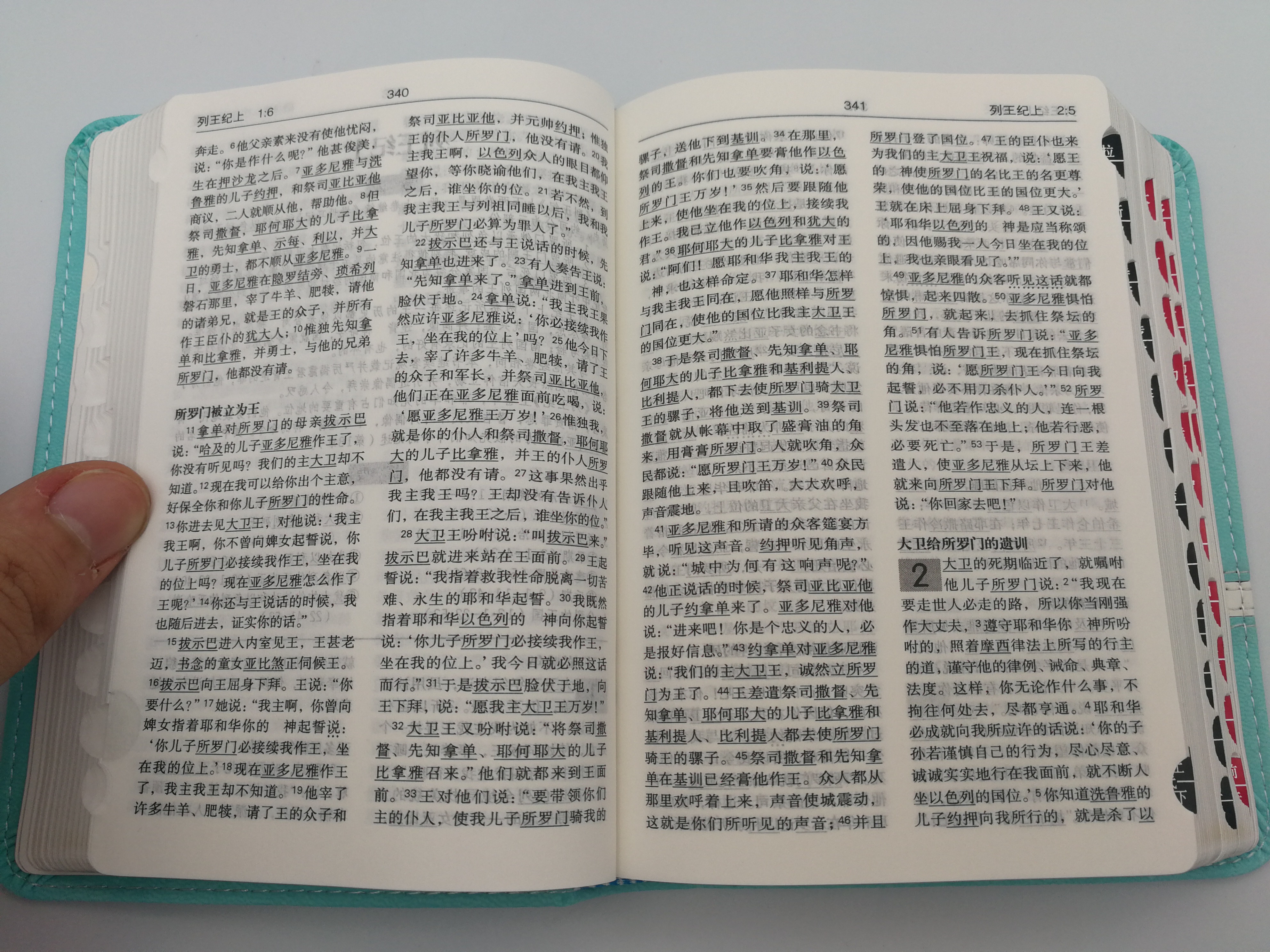 Chinese Language Holy Bible - Turquoise Cover