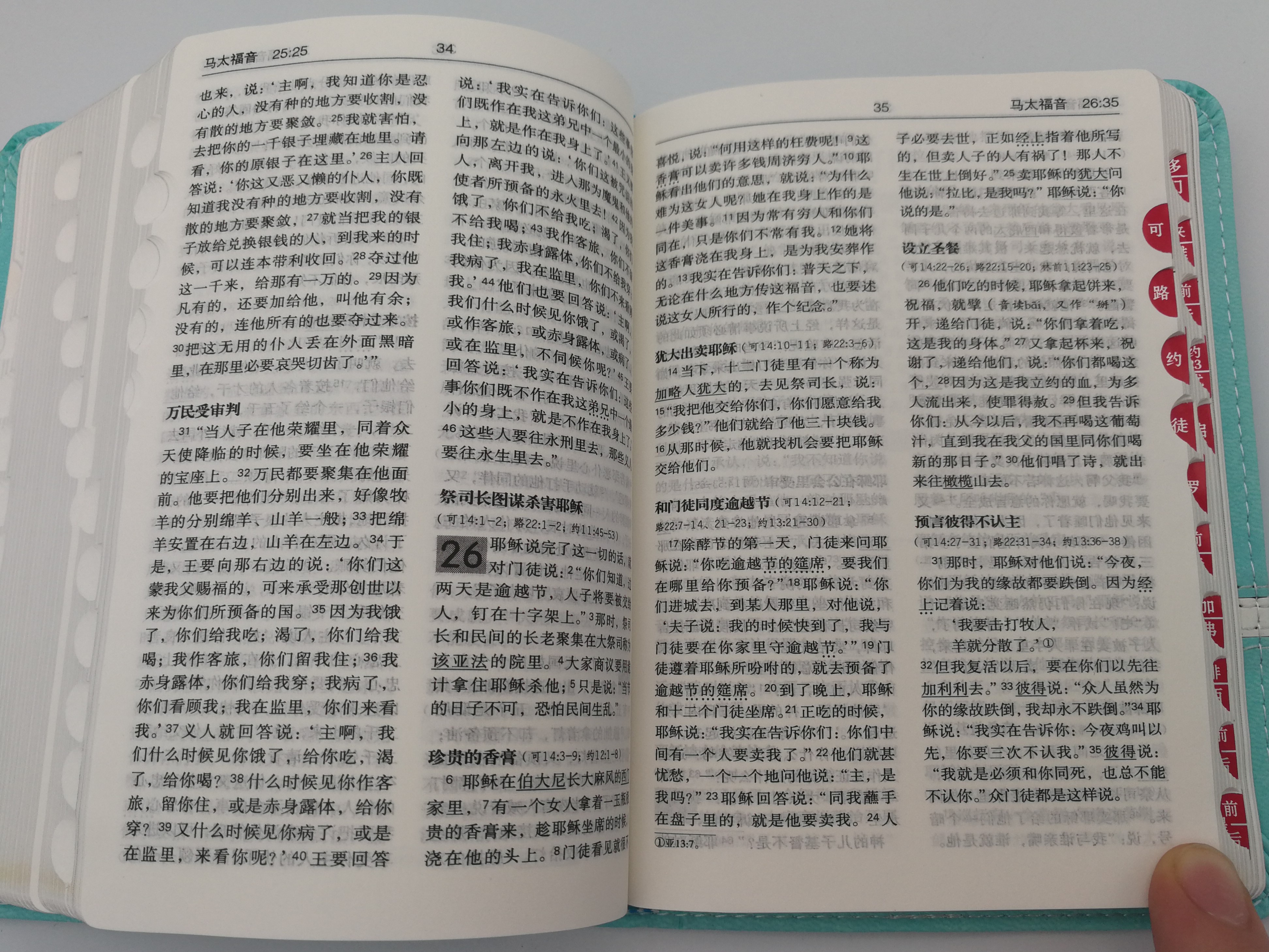 Chinese Language Holy Bible - Turquoise Cover