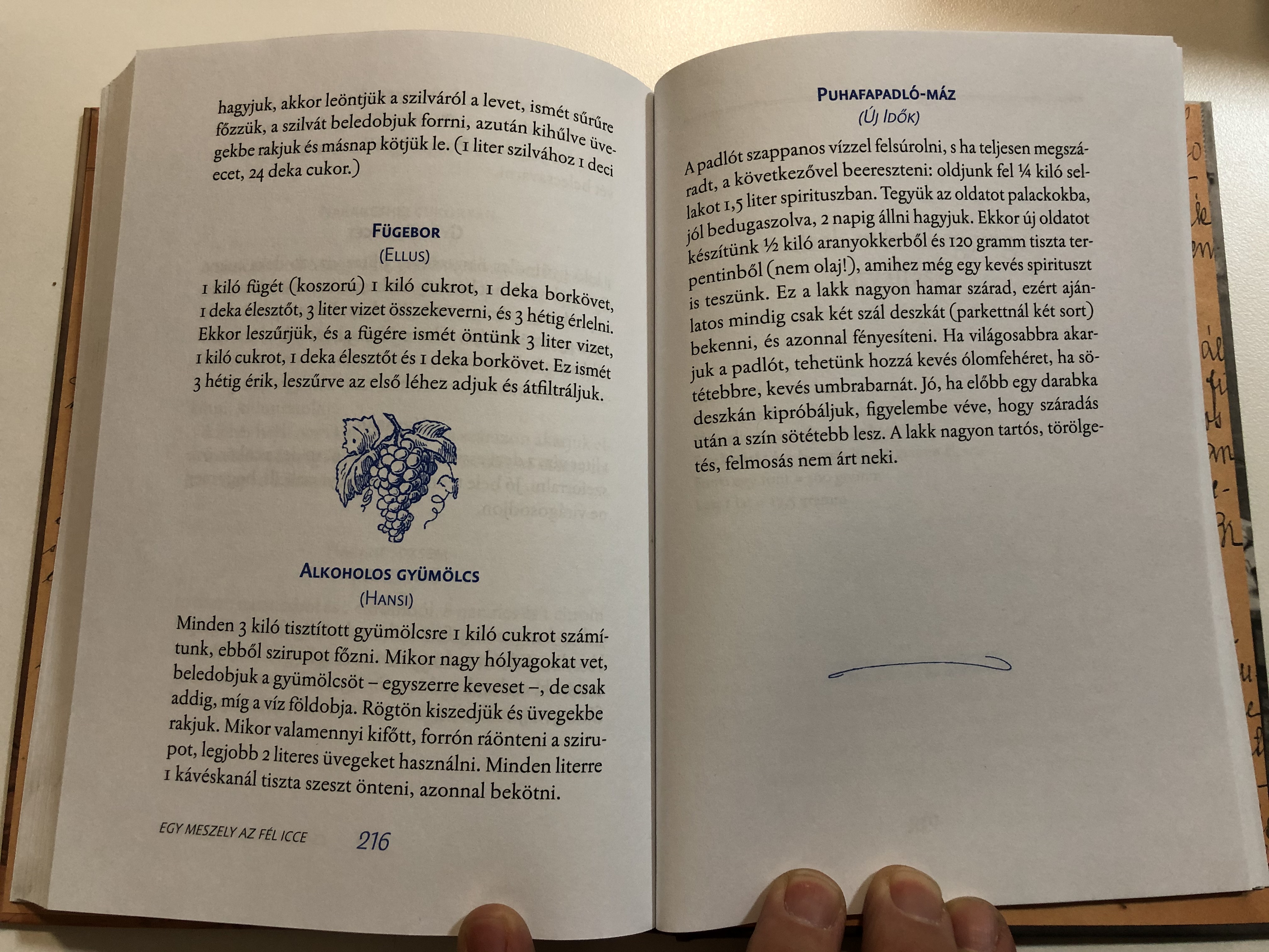 Egy meszely az fél icce - Szabó Magda ízei by Tasi Géza / Jaffa kiadó 2016  / Hardcover / Magda Szabó's family recipe book - bibleinmylanguage