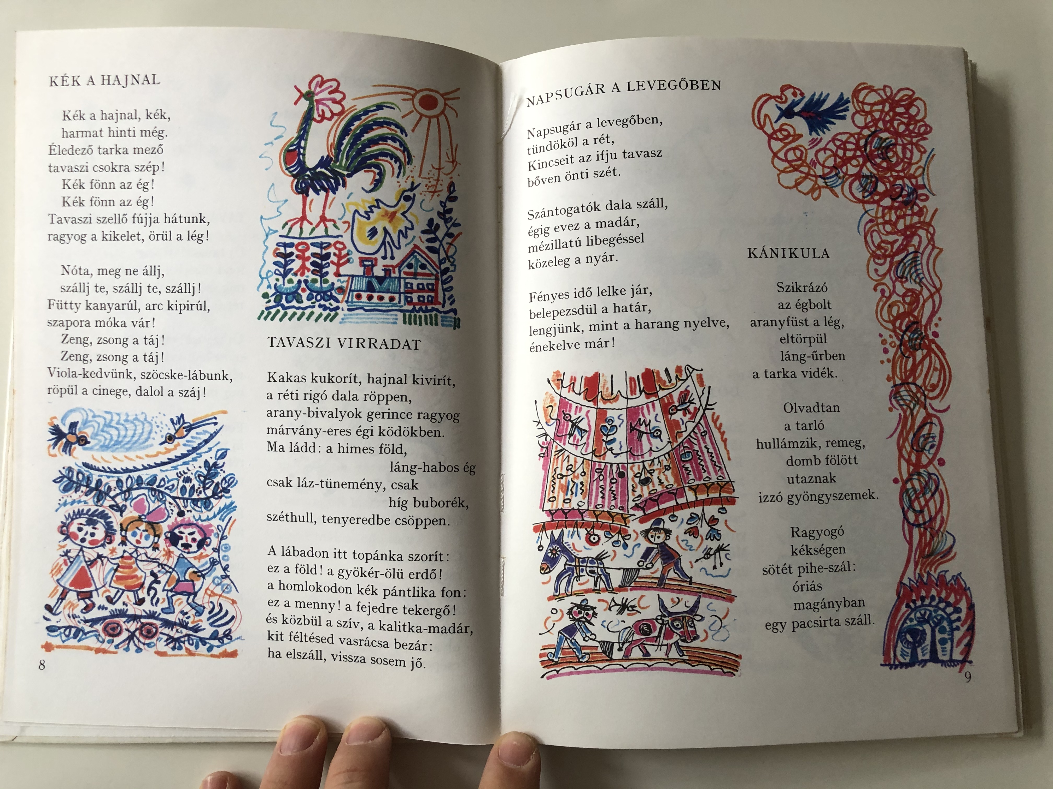 Ha a világ rigó lenne by Weöres Sándor / Illustrated by Hincz Gyula / Móra  Könyvkiadó 1978 / Hardcover 3rd edition / Hungarian Children's poems -  bibleinmylanguage