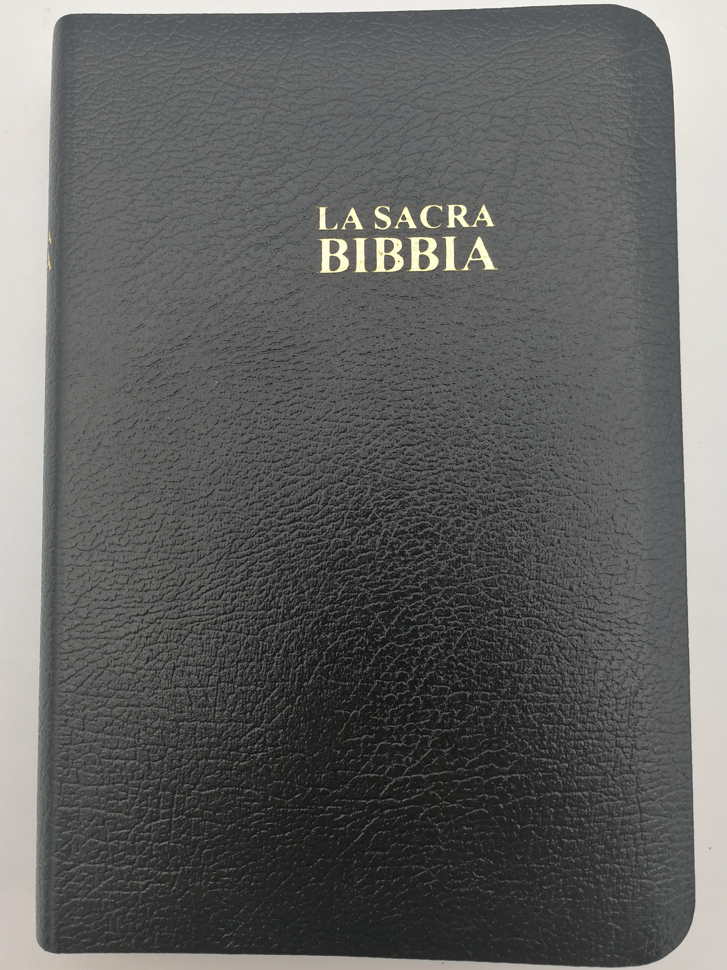 Italian Holy Bible 1991 Revised version - Black leatherbound - Gold edges /  La Sacra Bibbia - La Nuova Diodati - Revisione 1991-03 / La Buona Novella  2008 / C03PN - Bible in My Language