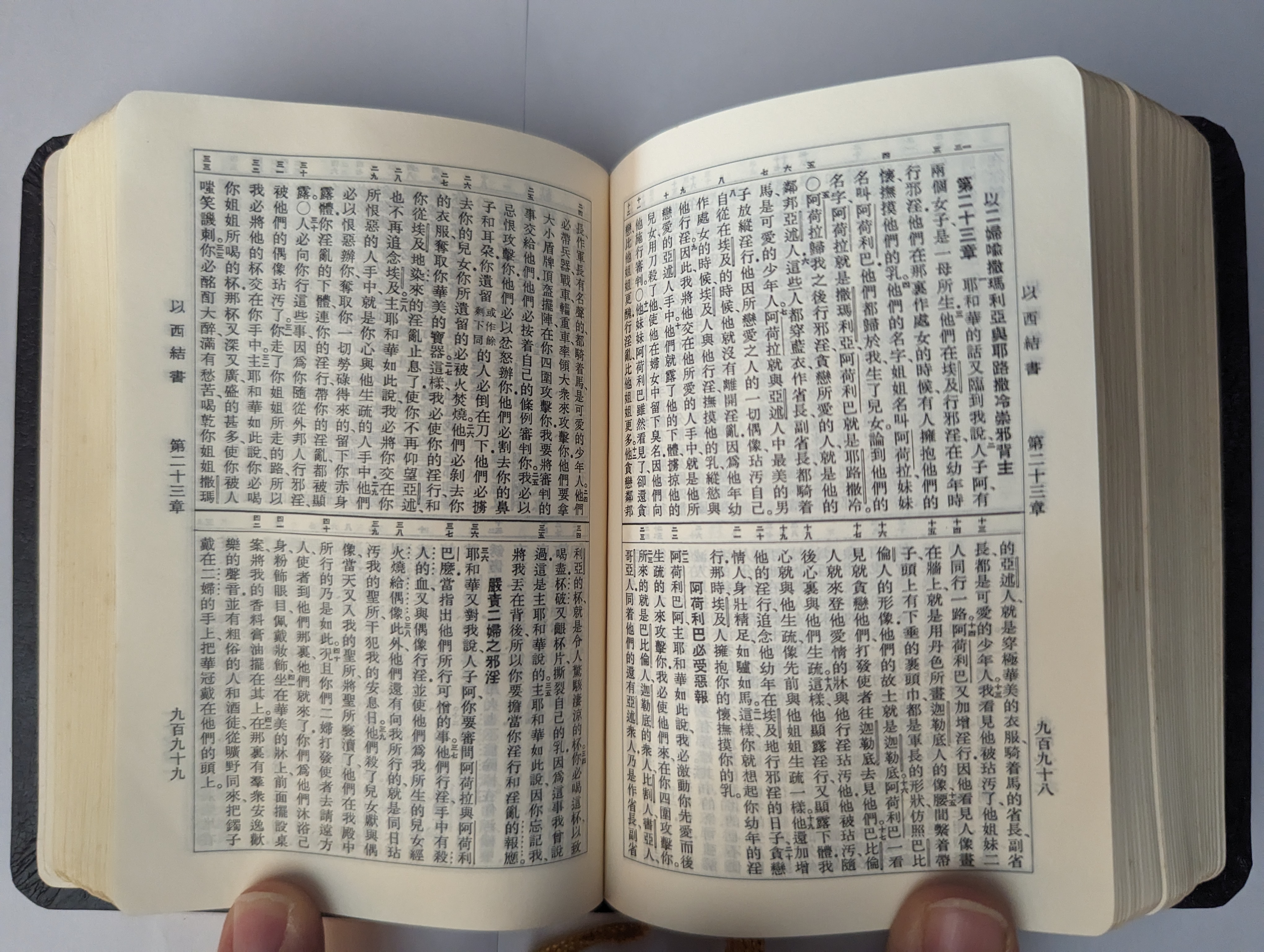 Pocket size Chinese Holy Bible - Union version Shen Edition
