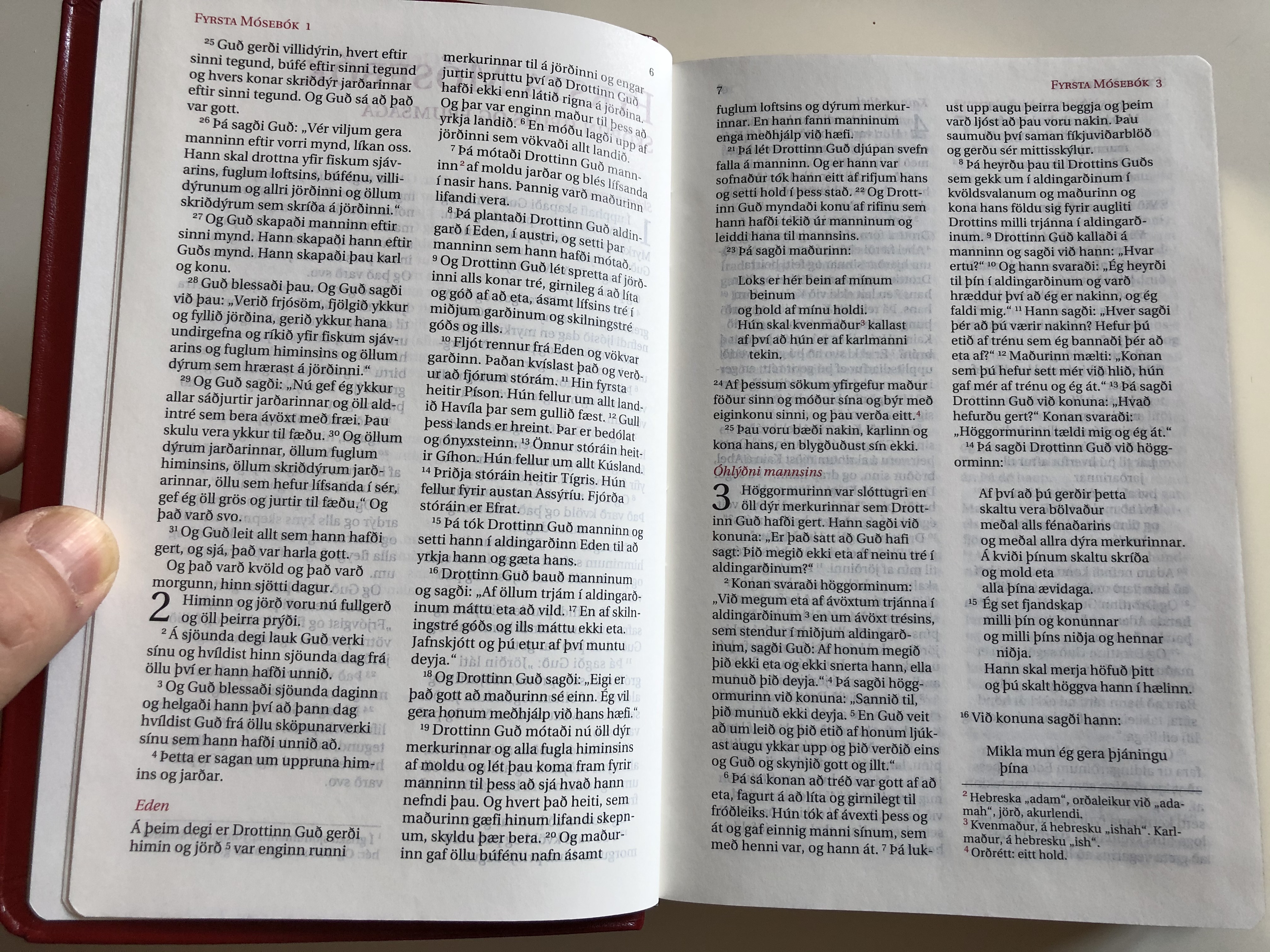 bibl-an-heil-g-ritning-icelandic-holy-bible-with-deuterocanonical-books-15.jpg