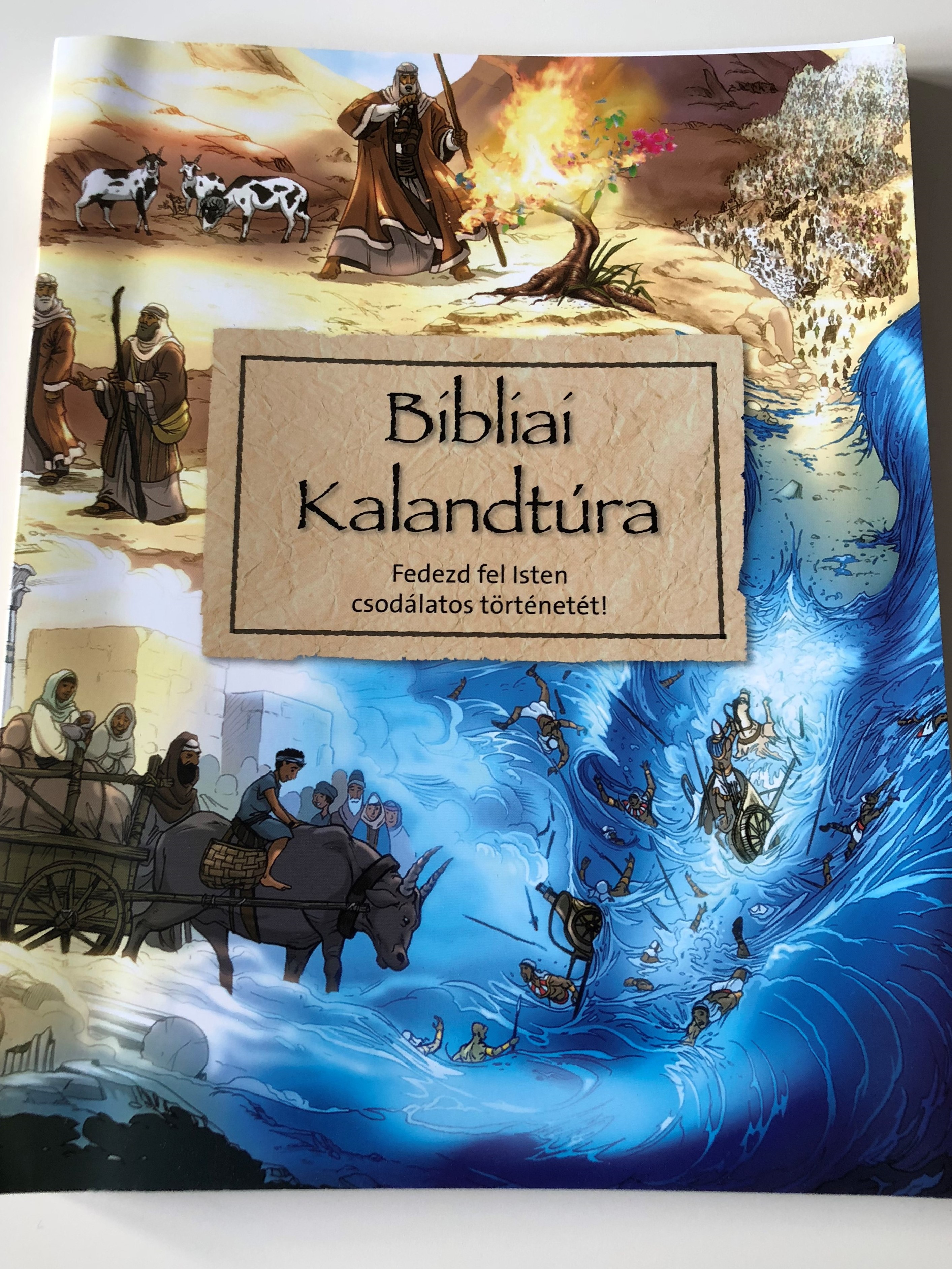 Bibliai Kalandtúra / Fedezd fel Isten csodálatos történetét! / Hungarian  translation of Big Bible Challenge / For children 7-12 years old / Explores  the big story of the Bible through 100 selected