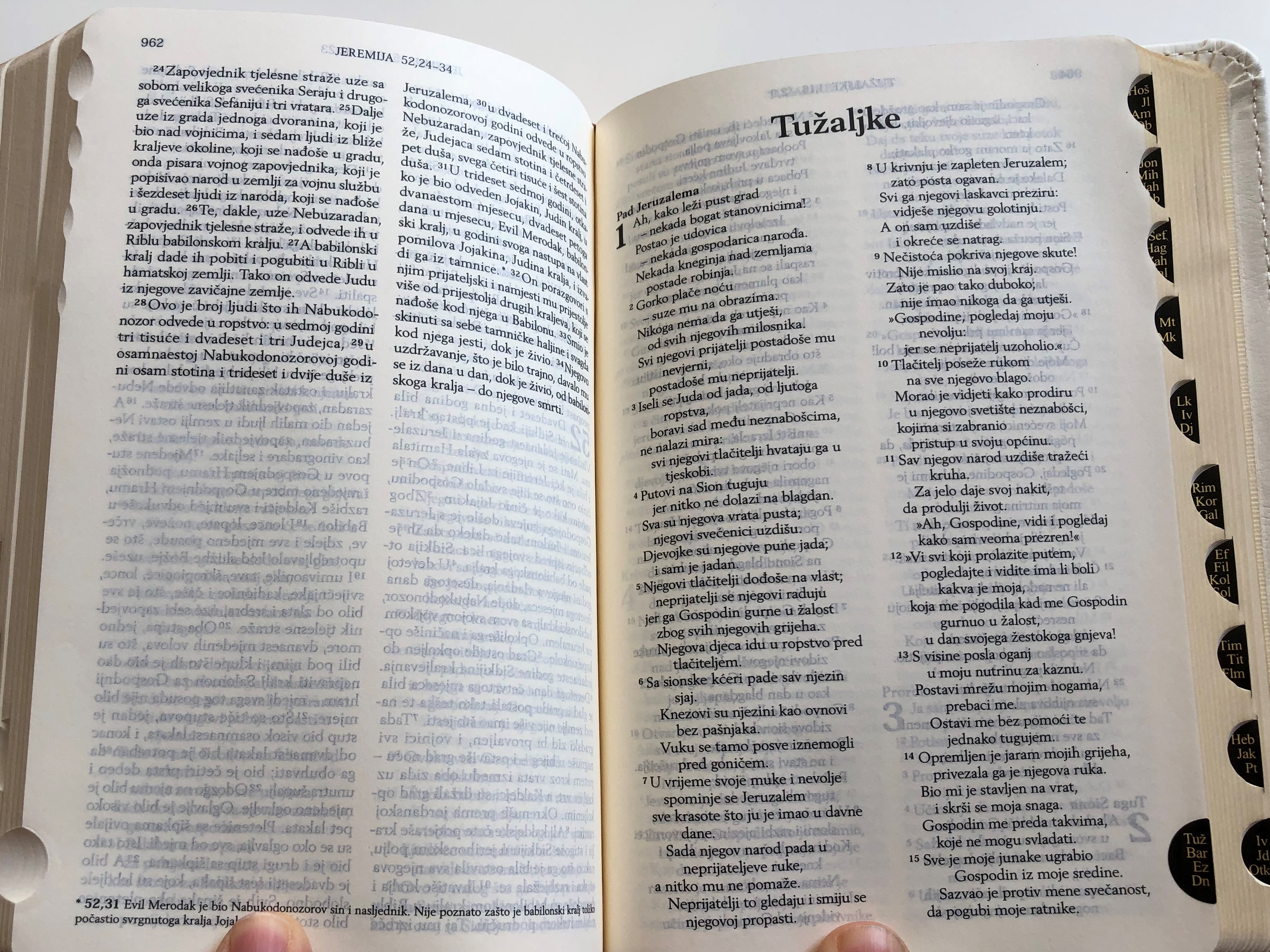biblija-sveto-pismo-staroga-i-novoga-zavjeta-croatian-language-holy-bible-10.jpg