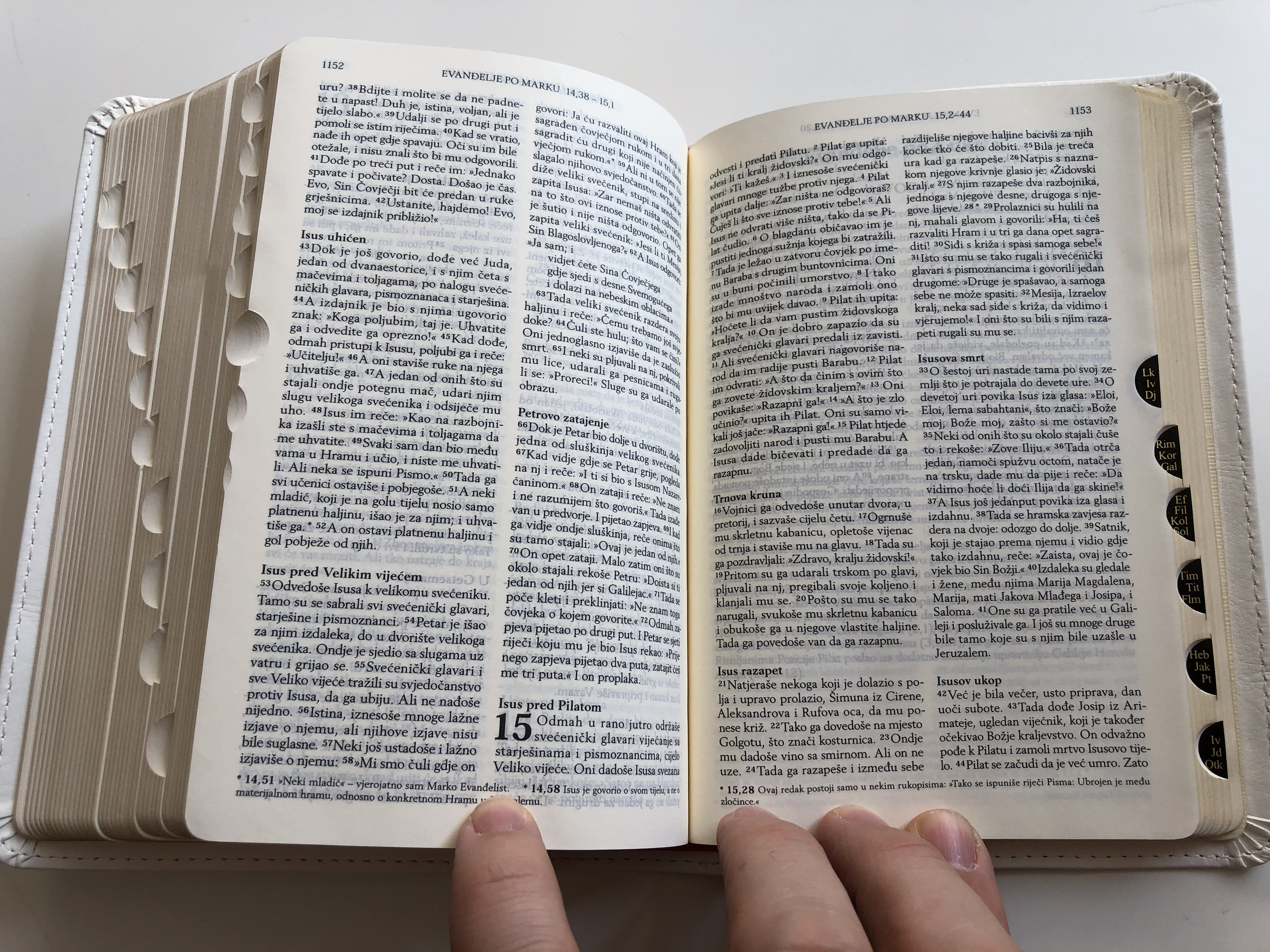 biblija-sveto-pismo-staroga-i-novoga-zavjeta-croatian-language-holy-bible-11.jpg