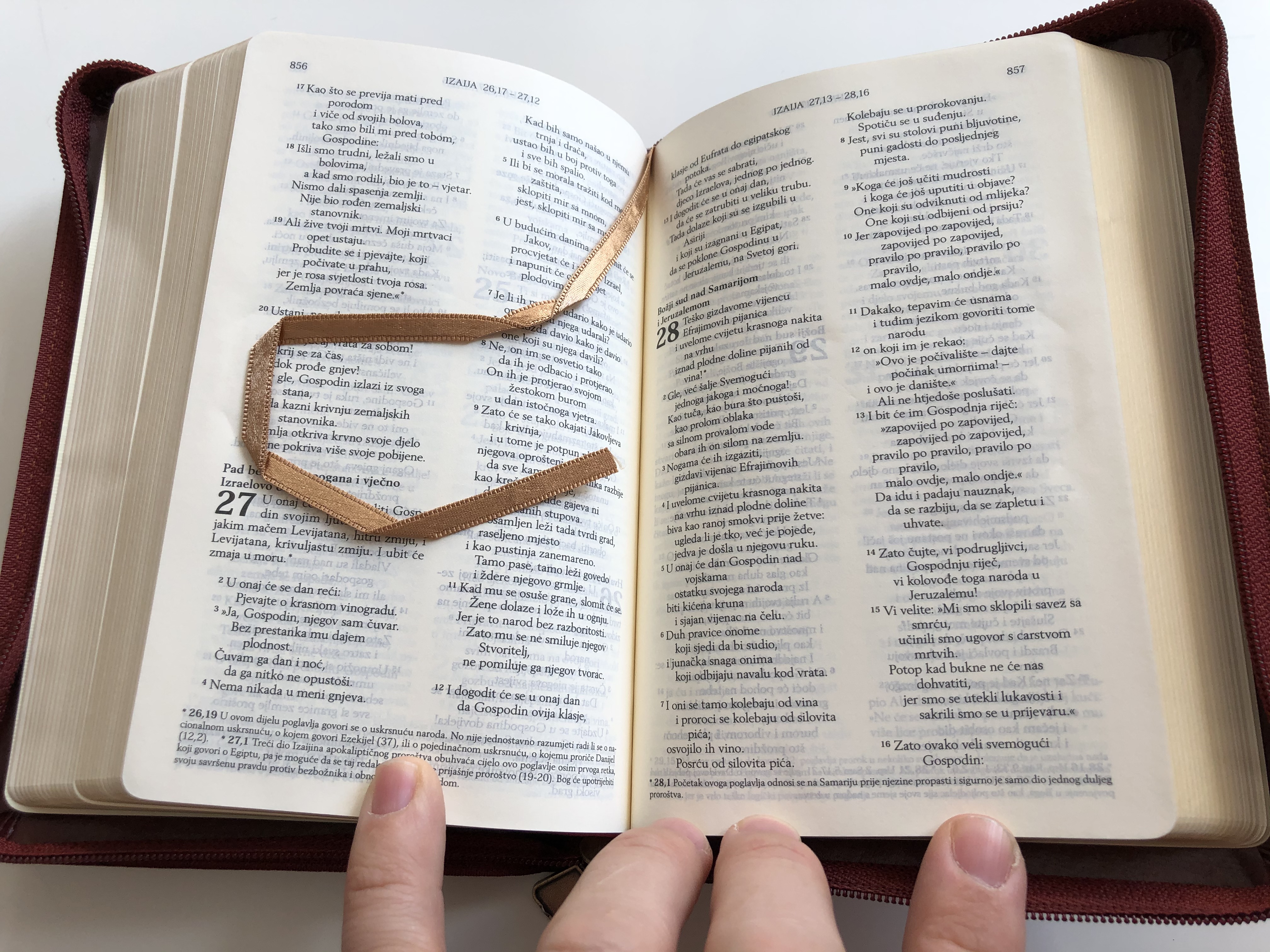 biblija-sveto-pismo-staroga-i-novoga-zavjeta-small-size-brown-10.jpg
