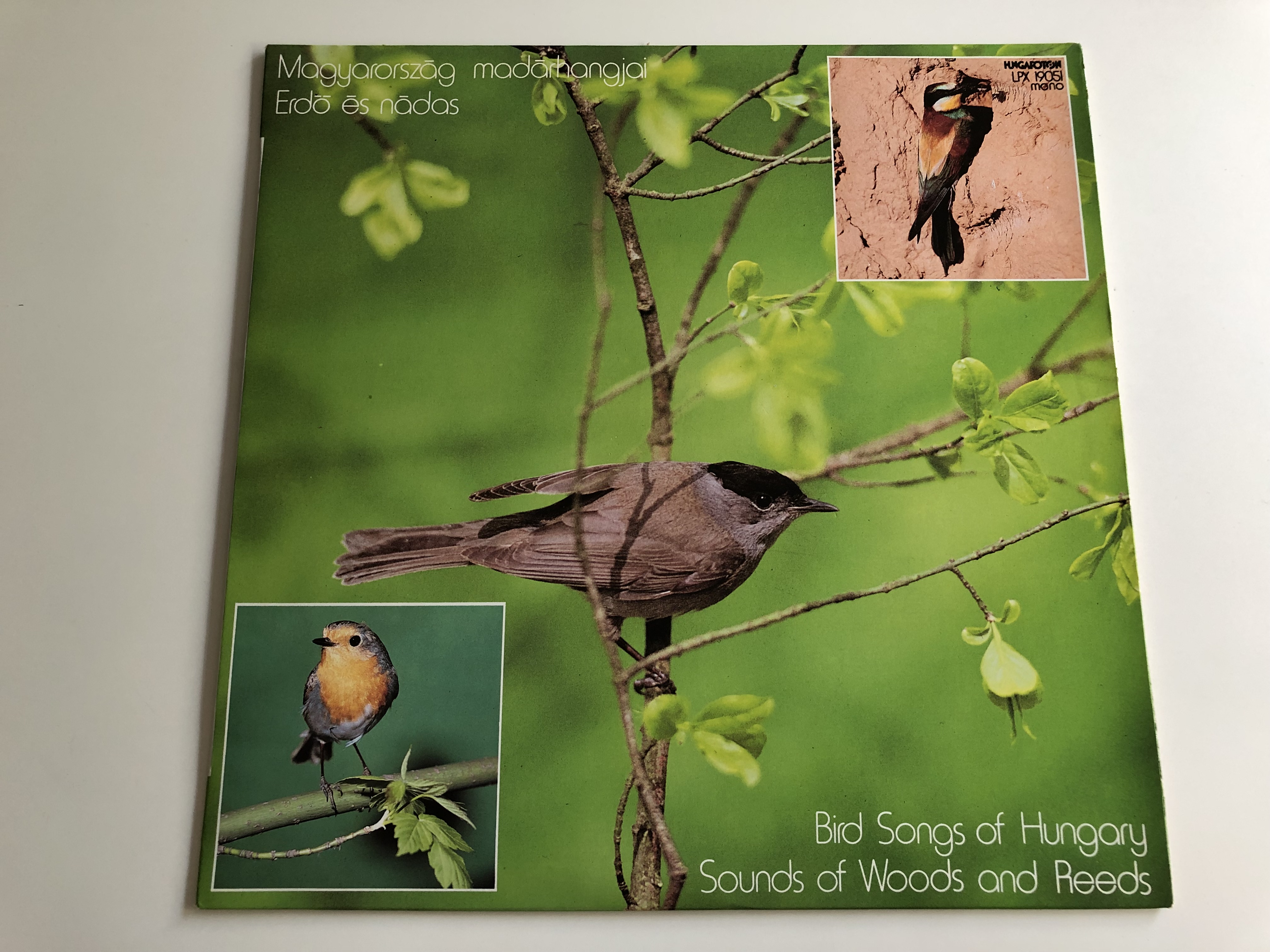 bird-songs-of-hungary-sounds-of-wood-and-reeds-magyarorsz-g-mad-rhangjai-erd-s-n-das-dr.-orsz-g-mih-ly-hungaroton-lp-mono-lpx-19051-1-.jpg