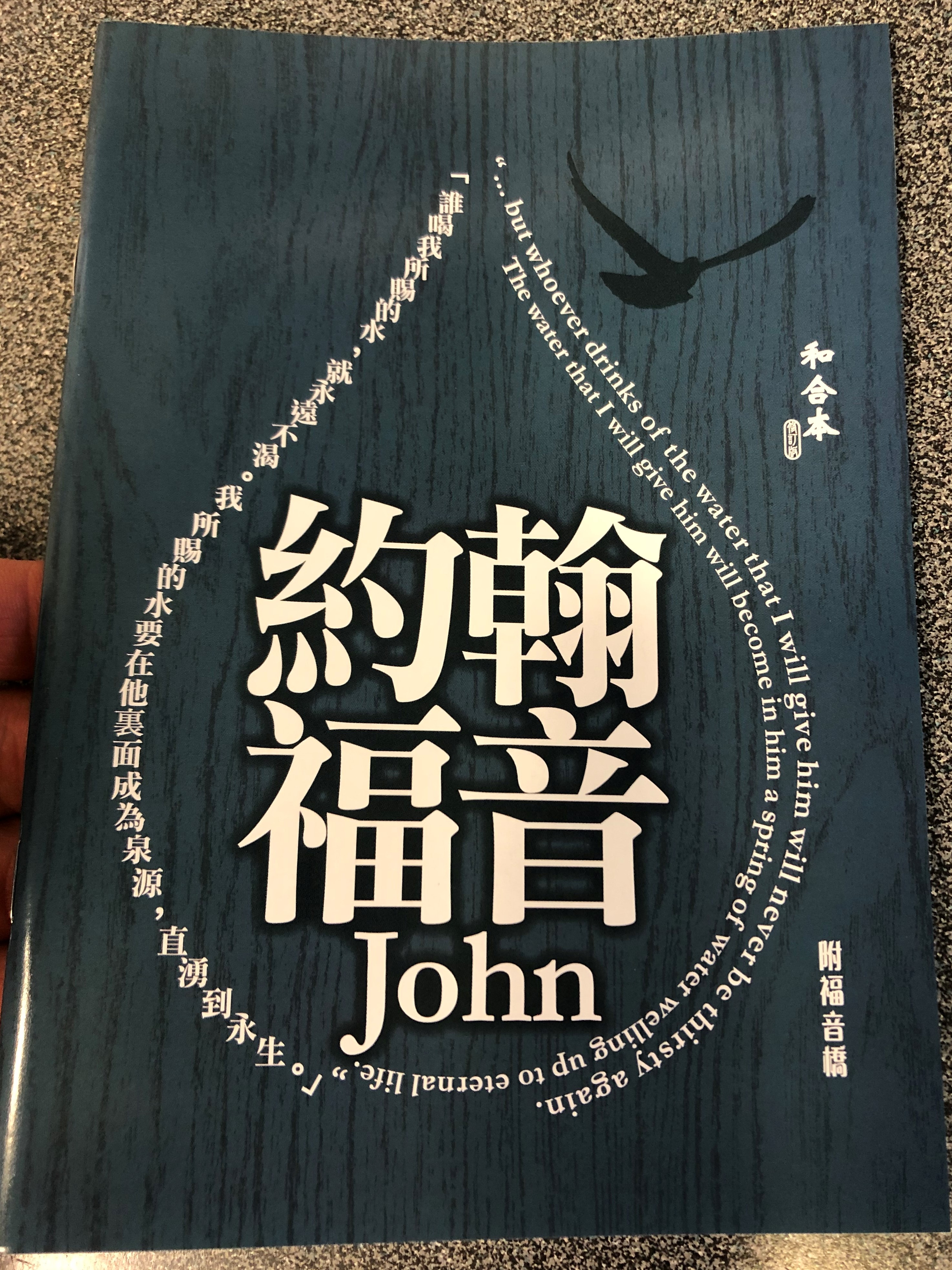 chinese-gospel-of-john-with-gospel-bridge-1-.jpg