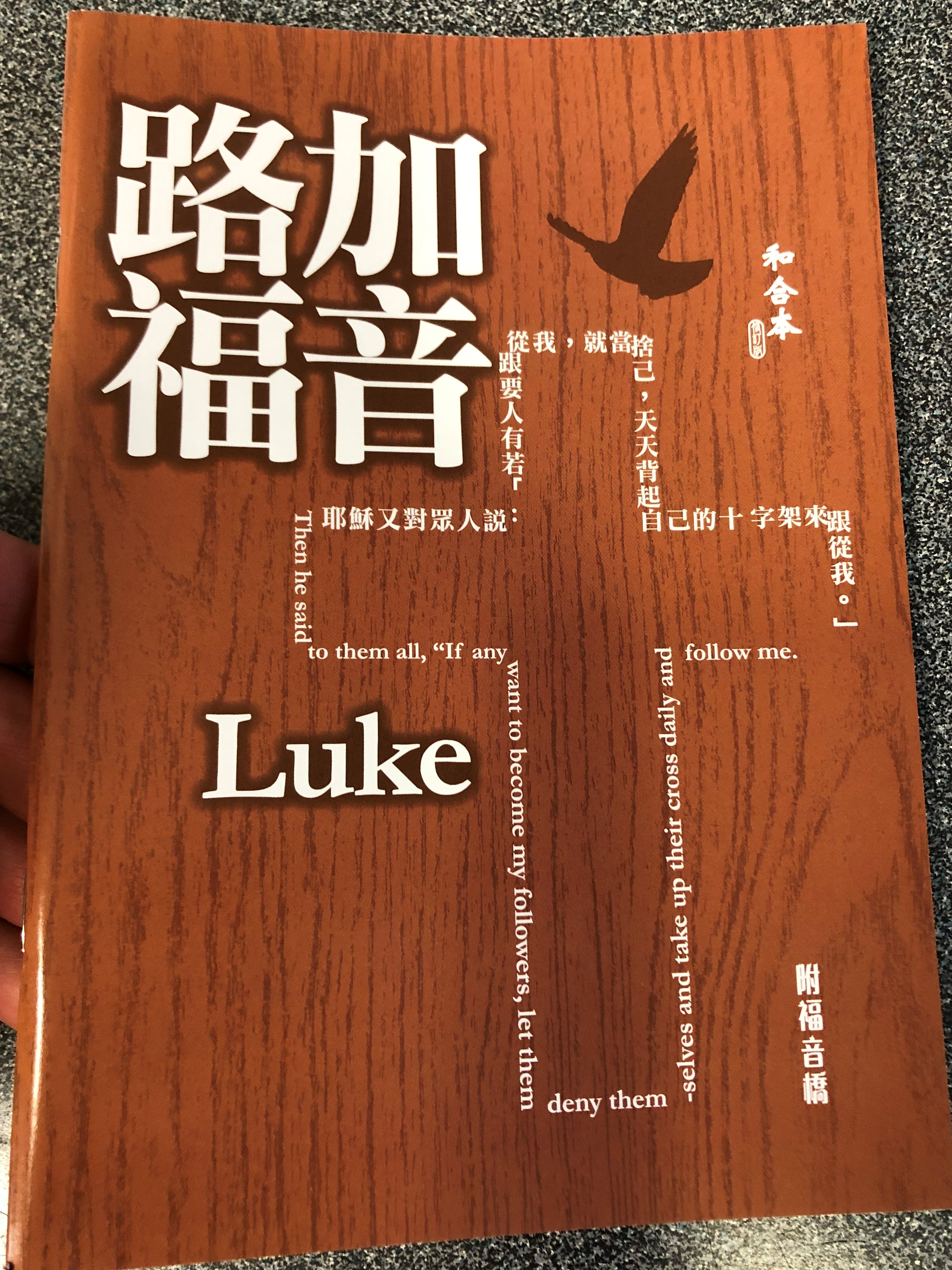chinese-gospel-of-luke-with-gospel-bridge-super-large-print-1-.jpg