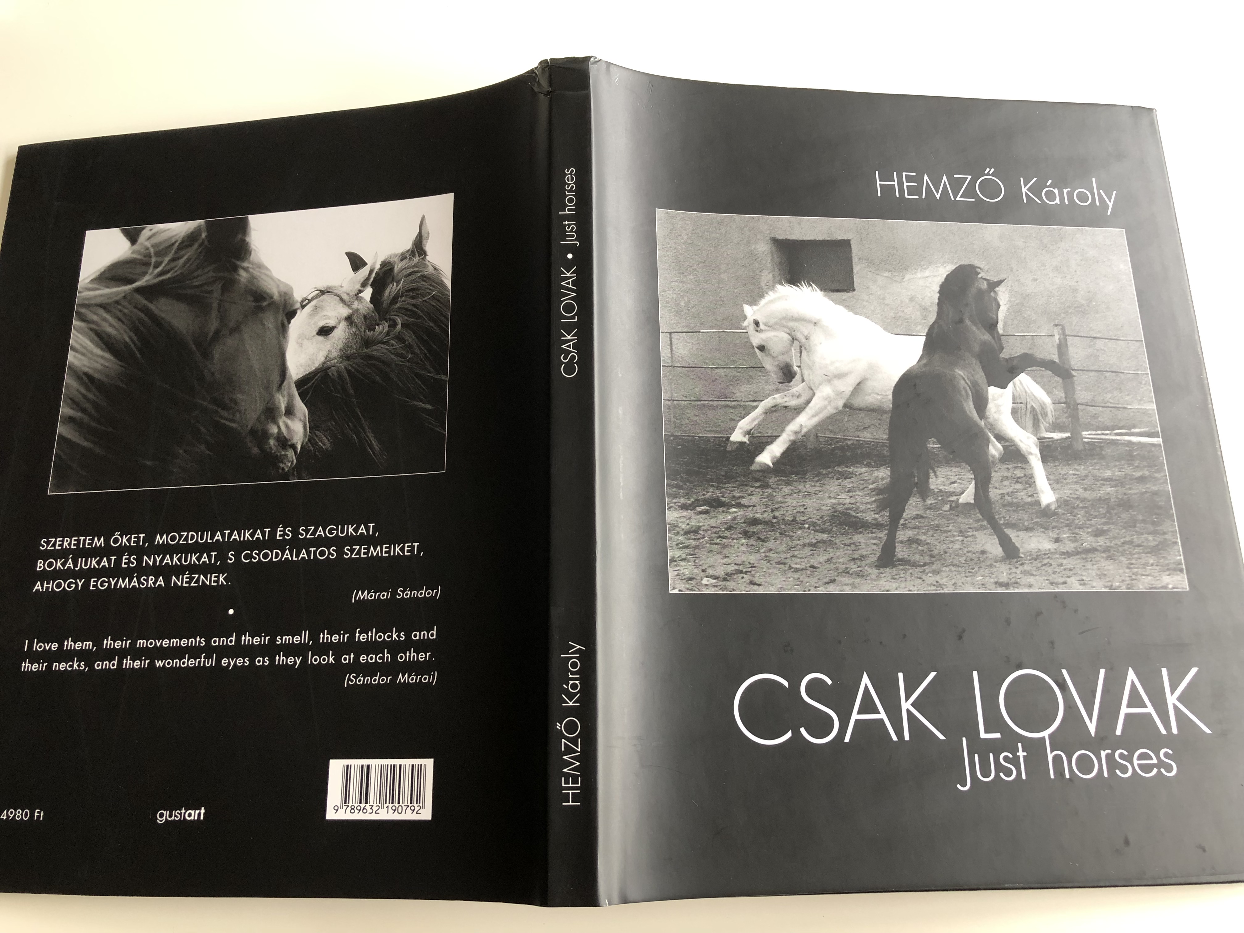 csak-lovak-just-horses-by-hemz-k-roly-photo-album-about-horses-gust-art-hardcover-2005-19-.jpg