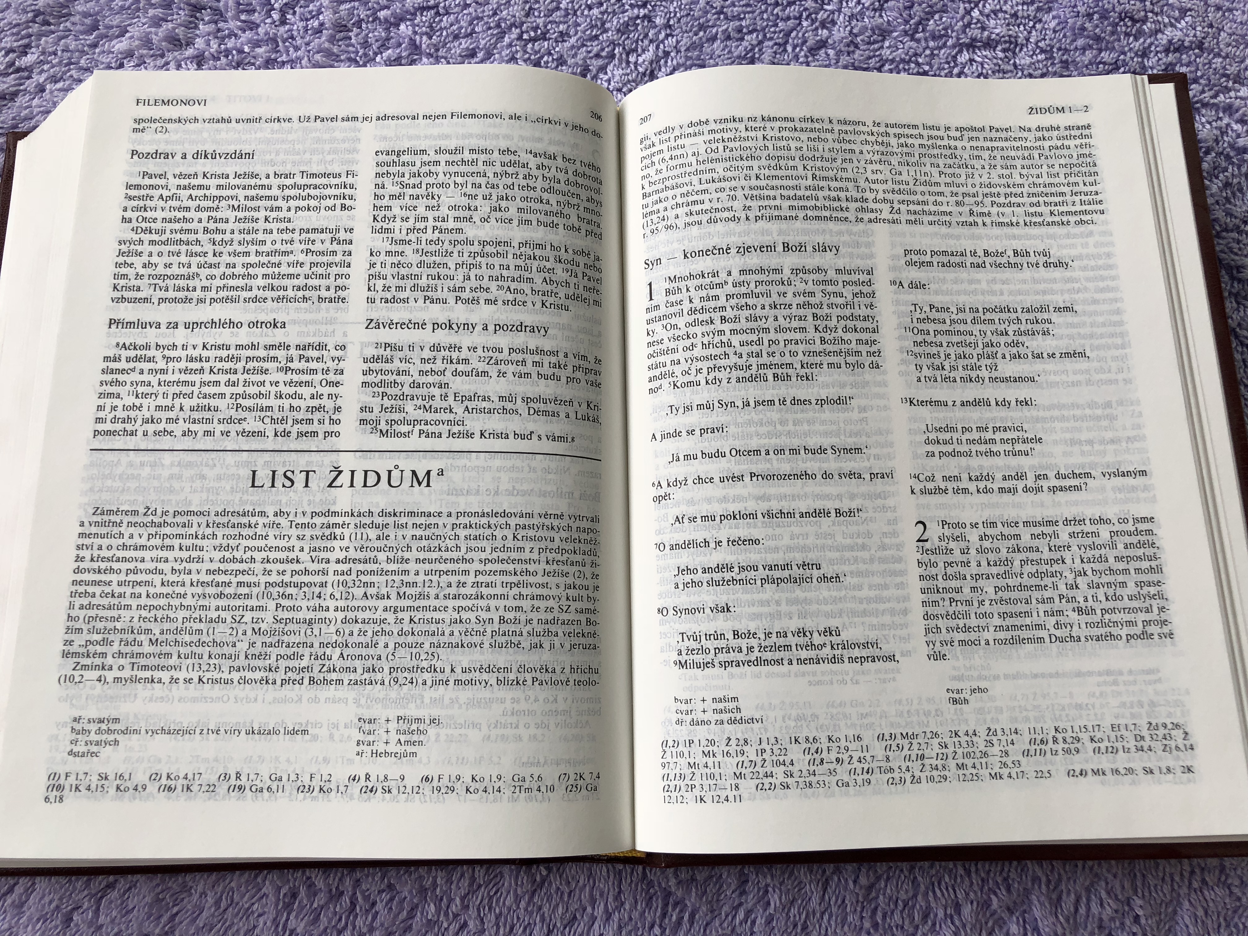 czech-bible-ecumenical-translation-with-maps-and-references-16-.jpg