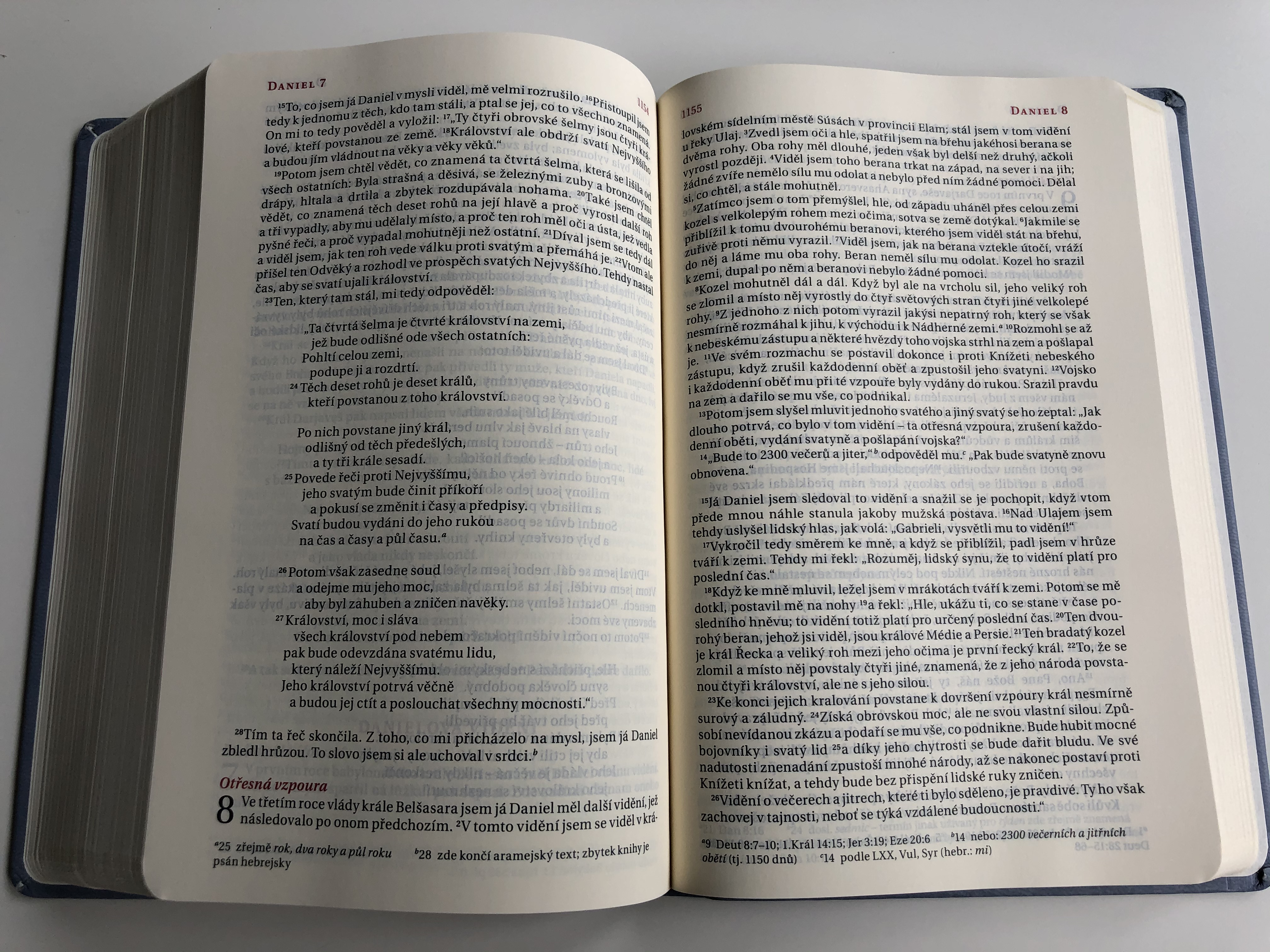 czech-language-bible-grayblue-21st-century-translation-imitation-leather-cover-14.jpg