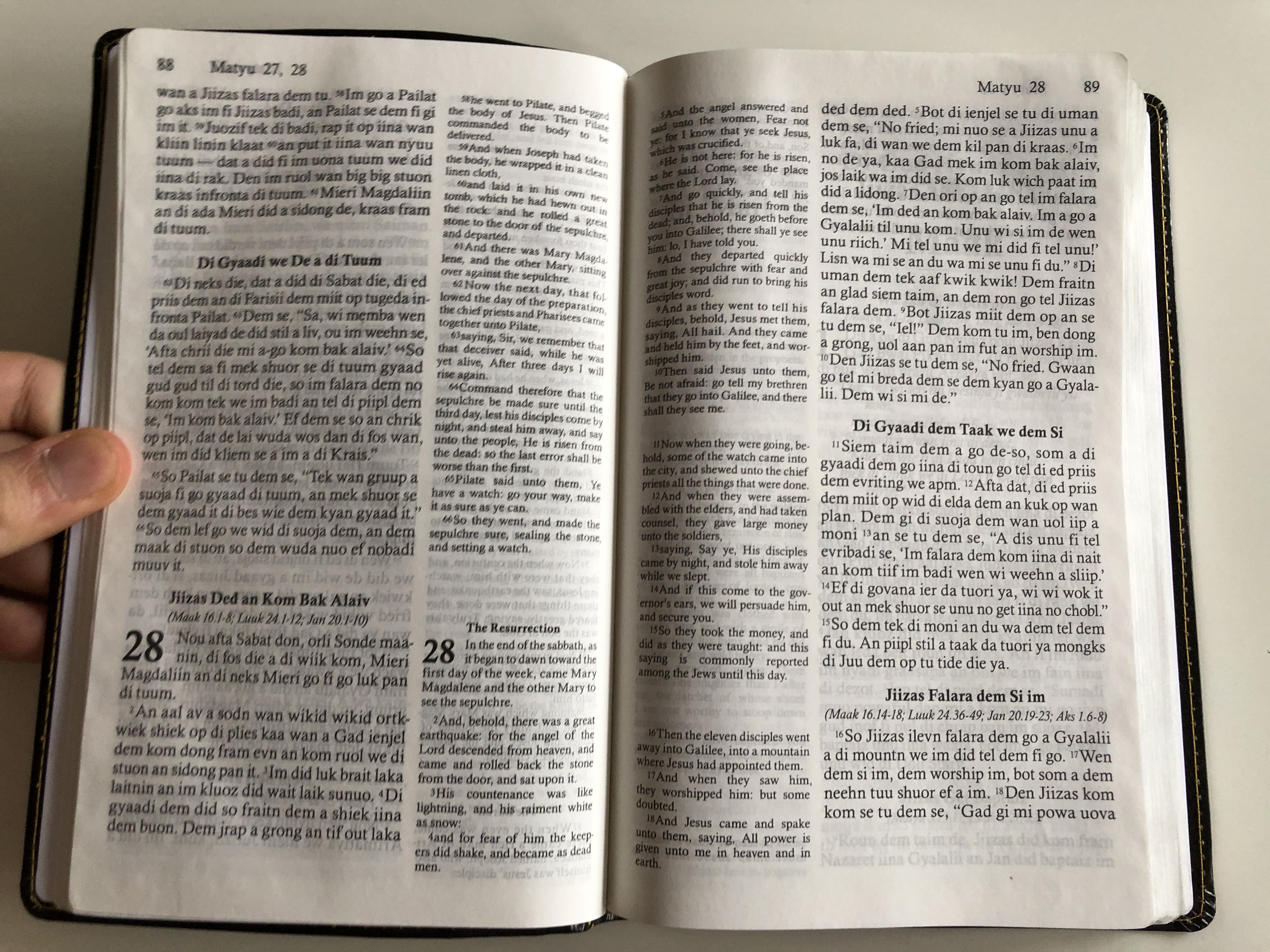 di-jamiekan-nyuu-testiment-the-jamaican-new-testament-11.jpg