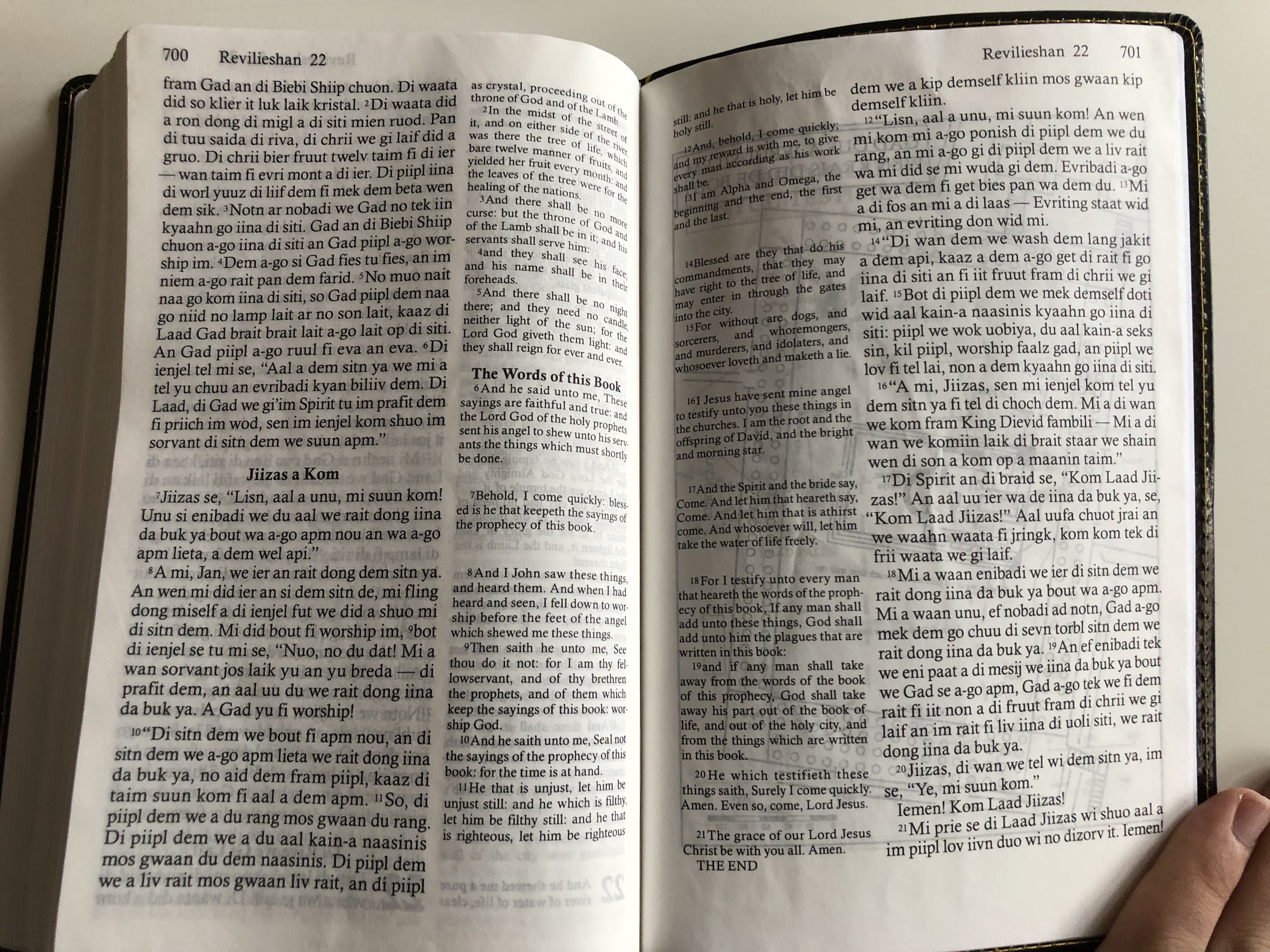 di-jamiekan-nyuu-testiment-the-jamaican-new-testament-16.jpg