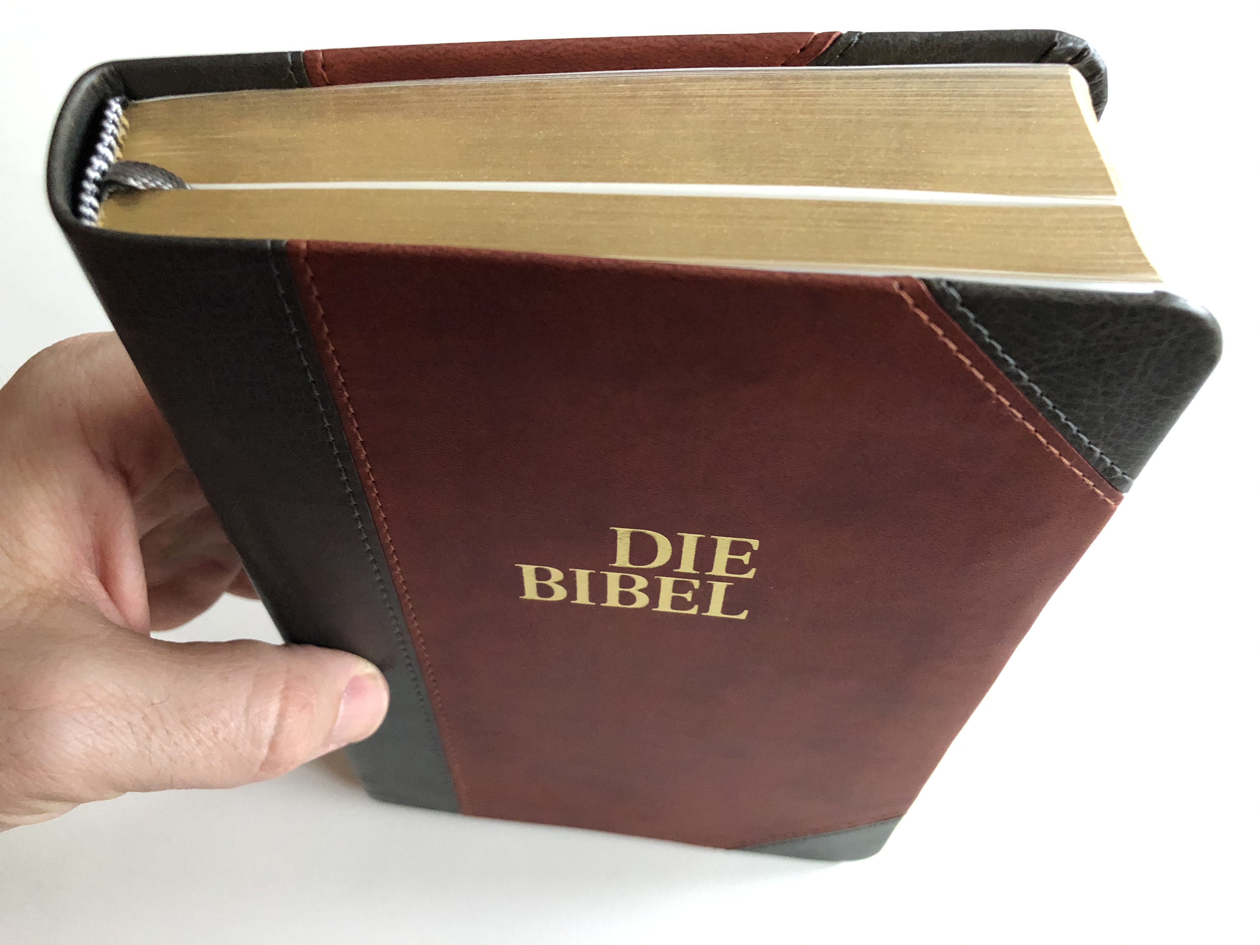 die-bibel-schlachter-version-2000-german-bible-with-parallel-passages-and-study-helps-21.jpg