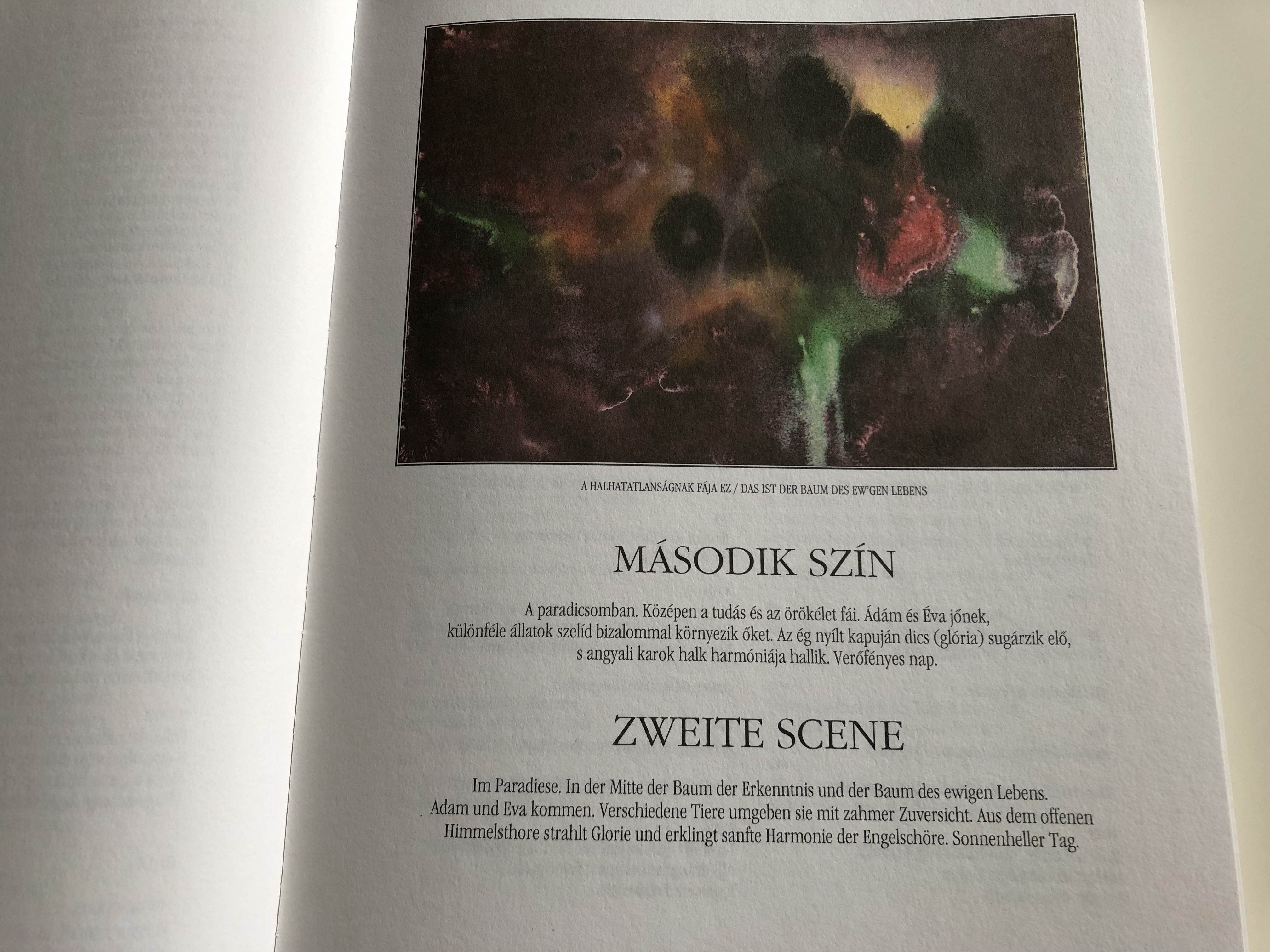 die-trag-die-des-menschen-by-mad-ch-imre-az-ember-trag-di-ja-illustrationen-illusztr-ci-k-jozefka-antal-published-on-the-175th-anniversary-of-imre-mad-ch-s-birthday-kossuth-kiad-hardcover-8-.jpg