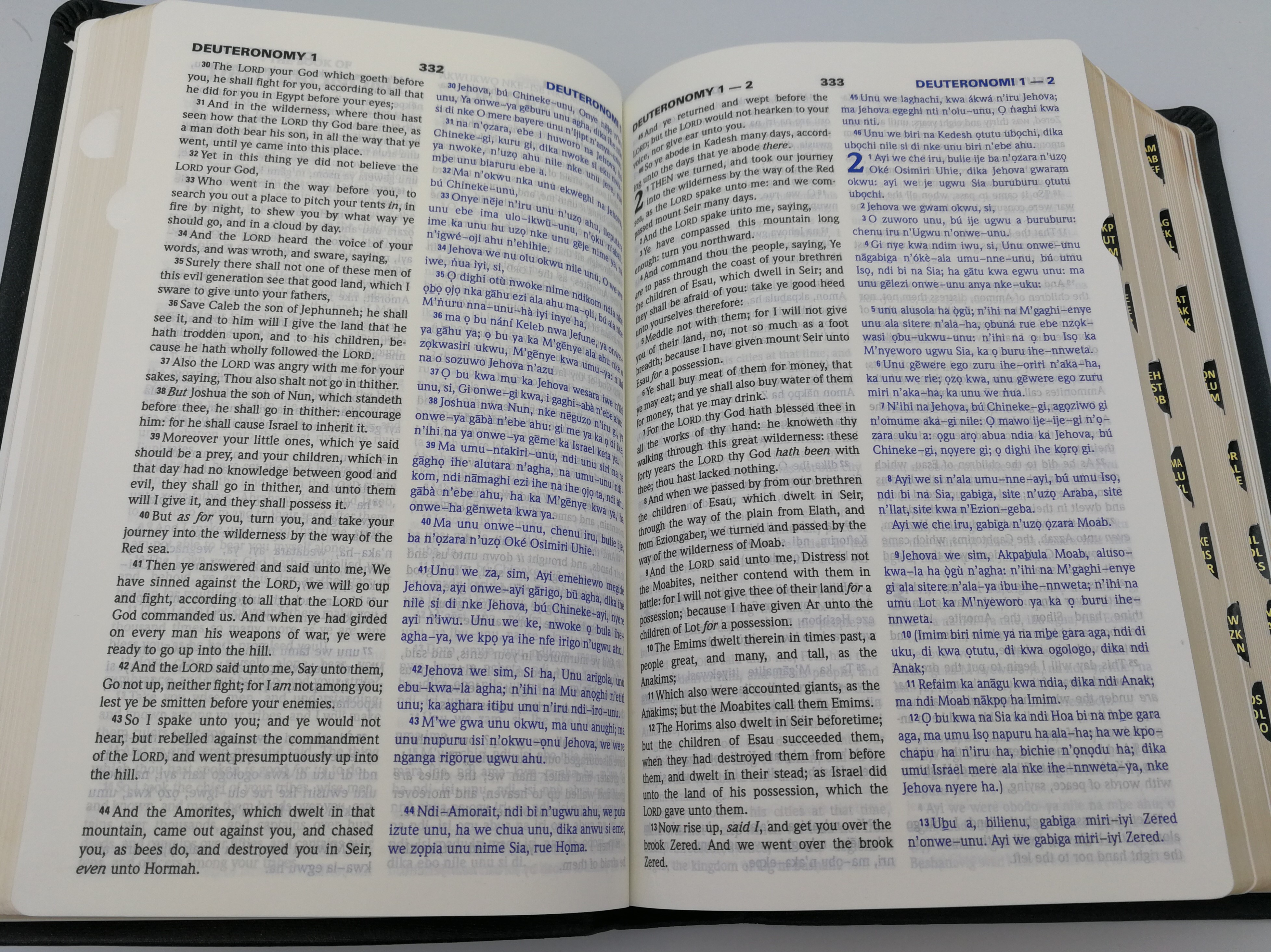 diglot-english-igbo-holy-bible-akjv-bible-ns-8.jpg