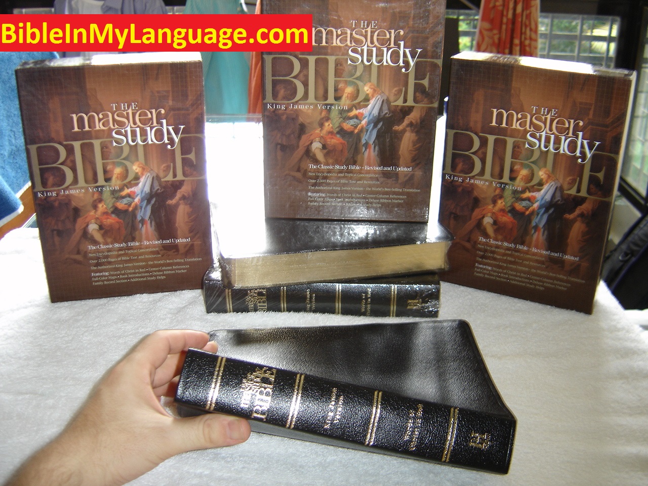 Special OUT OF PRINT BIBLES like the KJV Master Study Bible, Black ...