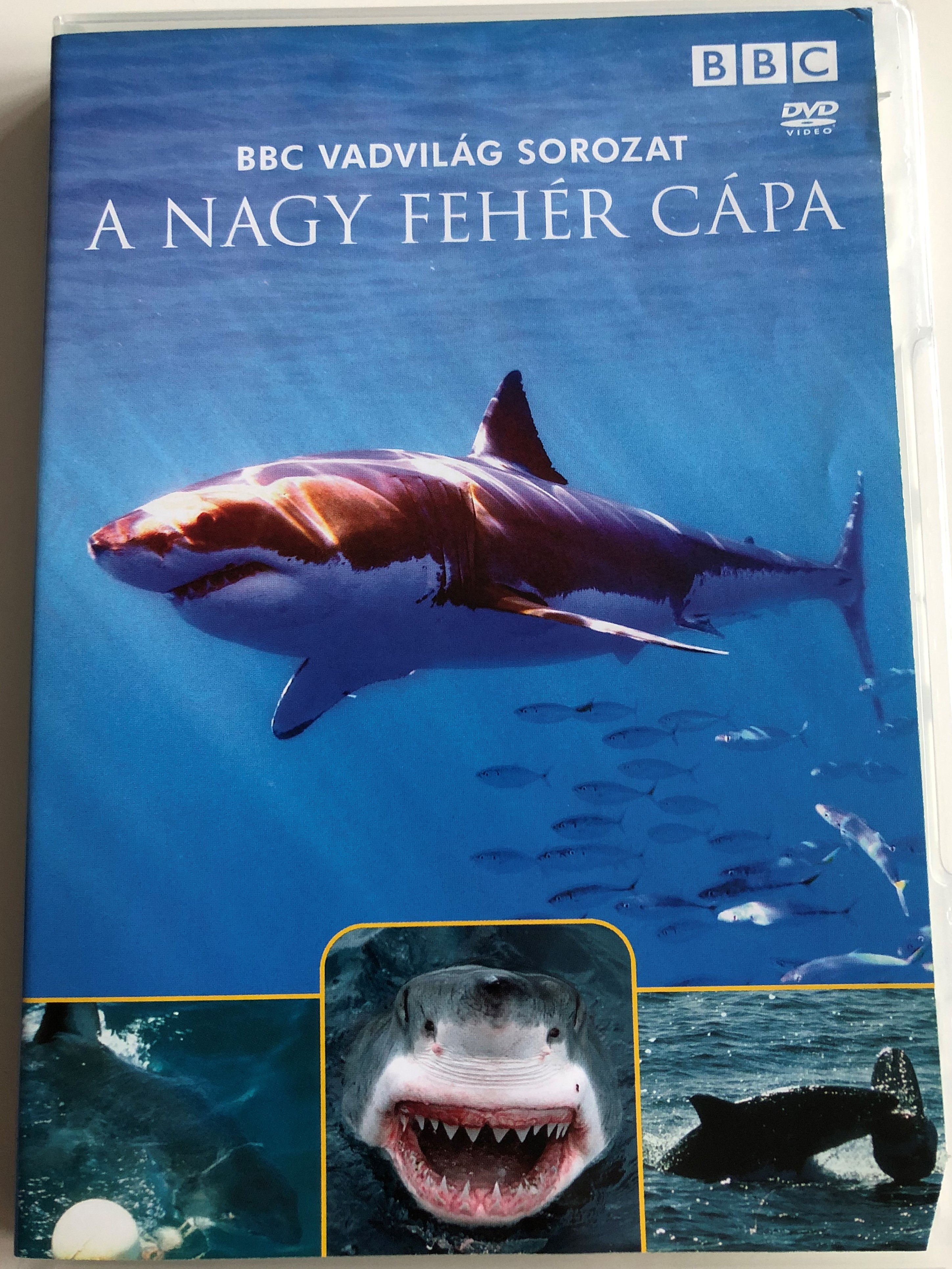 great-white-shark-the-silent-stalker-dvd-1995-a-nagy-feh-r-c-pa-1.jpg