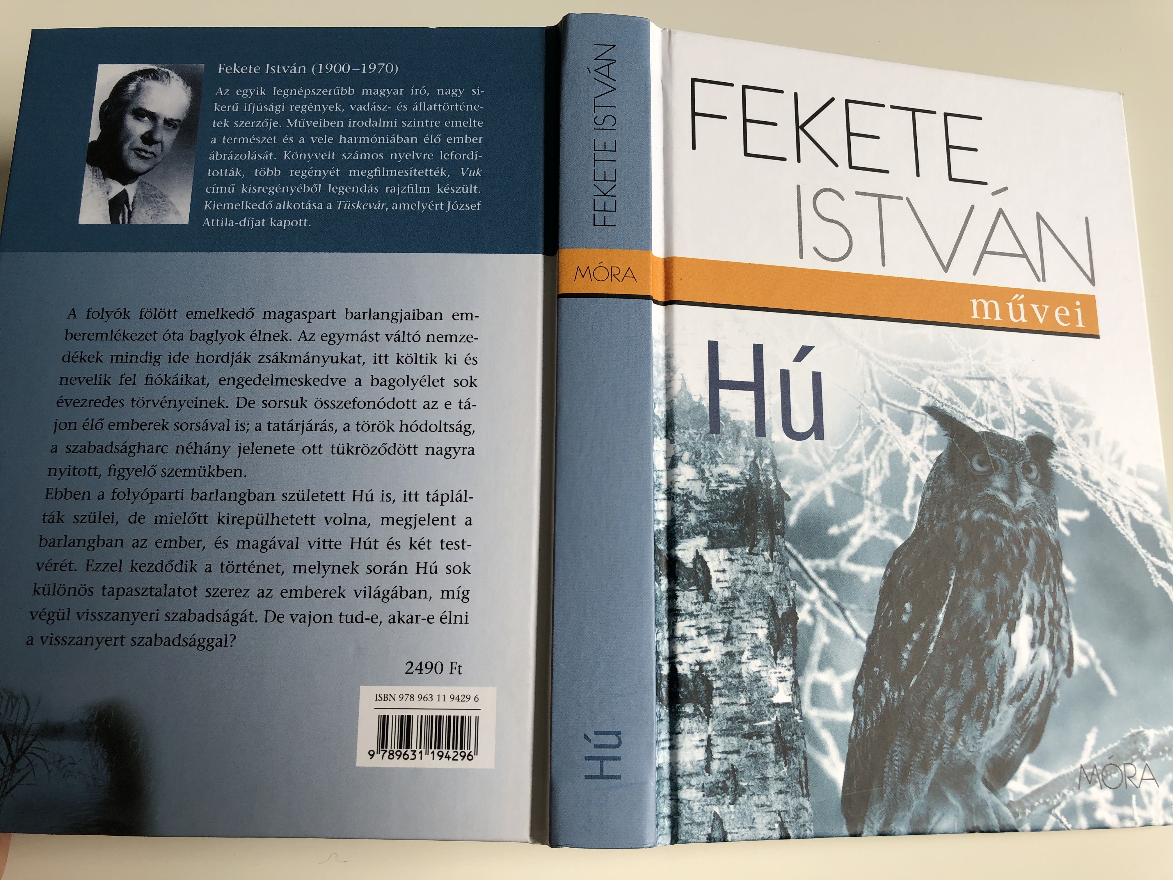 h-by-fekete-istv-n-illustrations-by-bakai-piroska-m-ra-kiad-2013-an-owl-s-novel-by-famous-hungarian-writer-istv-n-fekete-11-.jpg