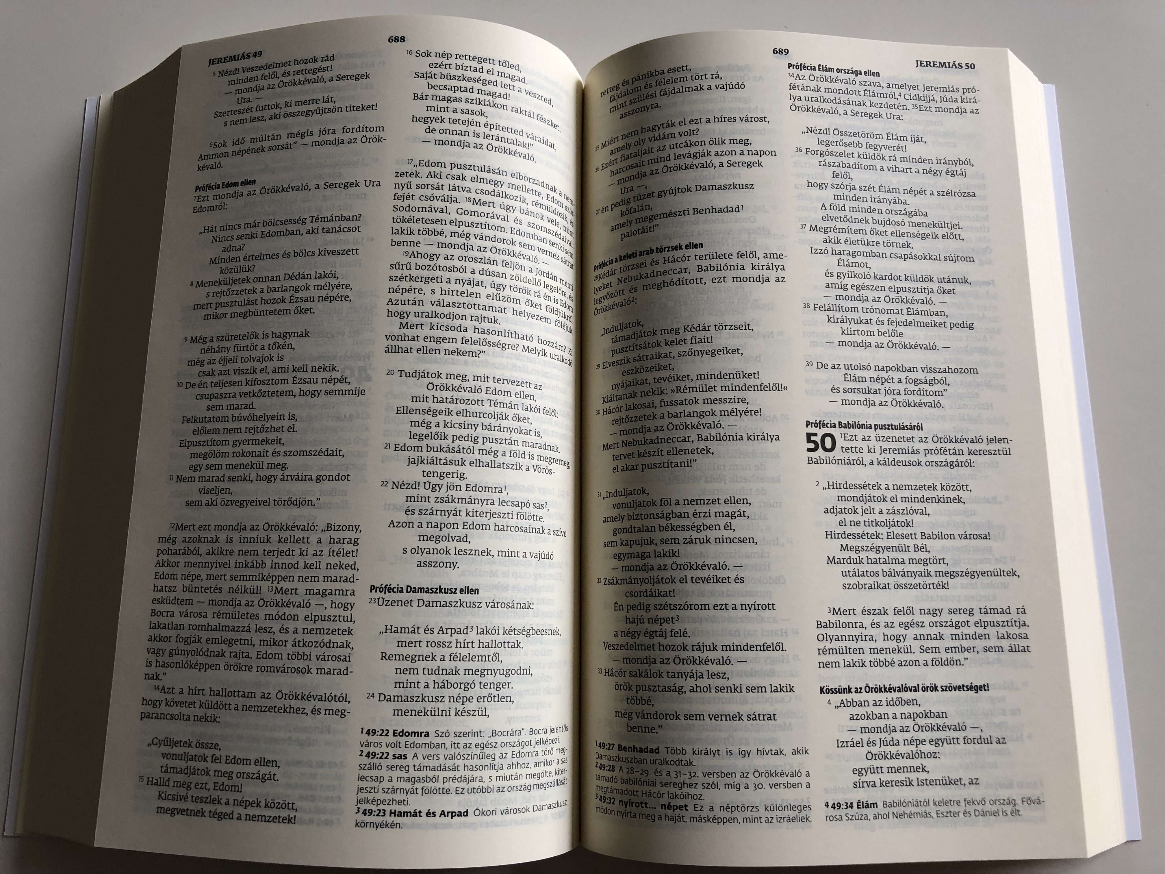 hungarian-bible-easy-to-read-version-antic-cover-magyar-szent-biblia-egyszer-fordit-s-efo-biblia-paperback-2012-bible-league-international-10-.jpg