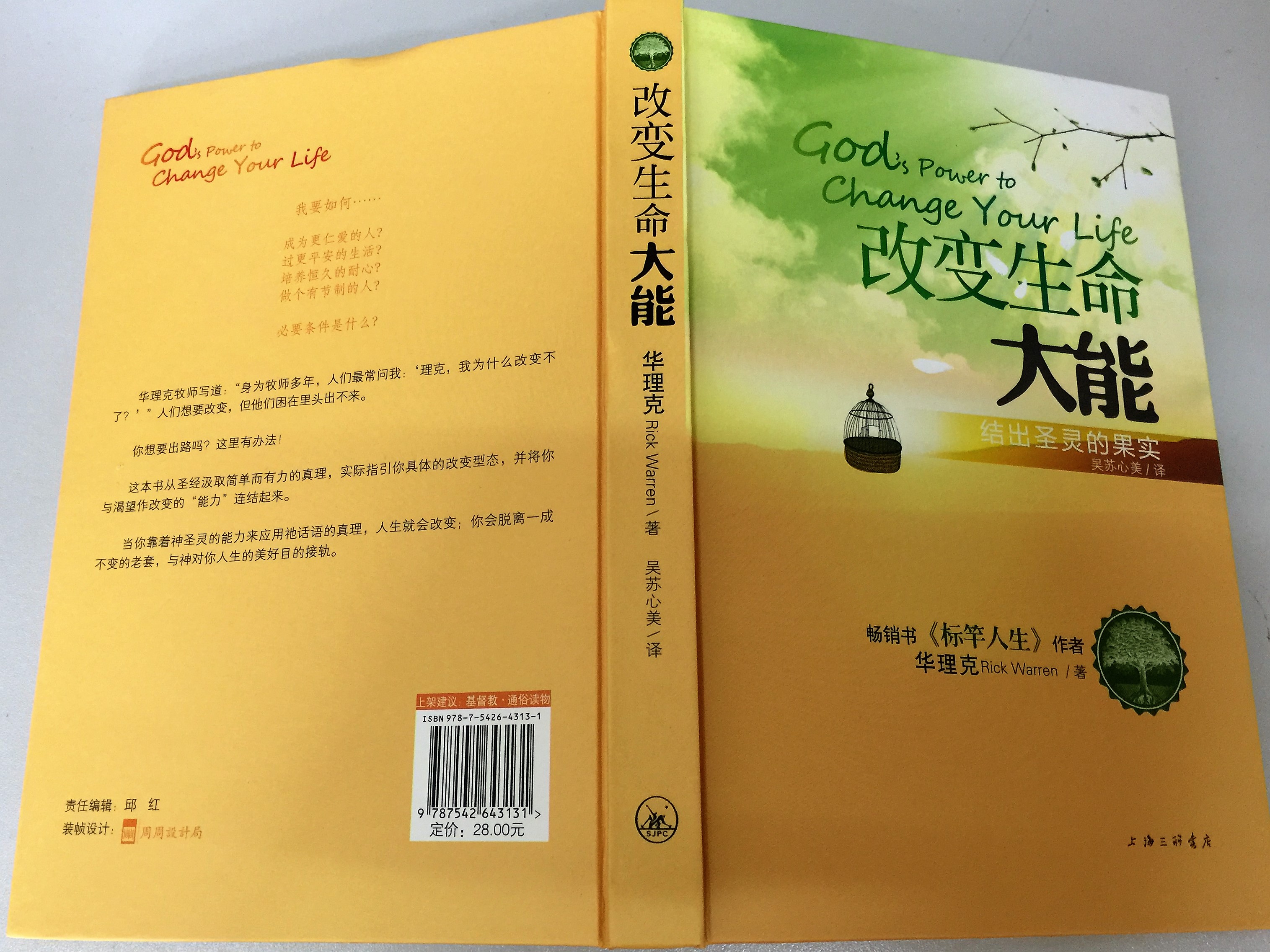 God’s Power to Change Your Life CHINESE EDITION by Rick Warren ...