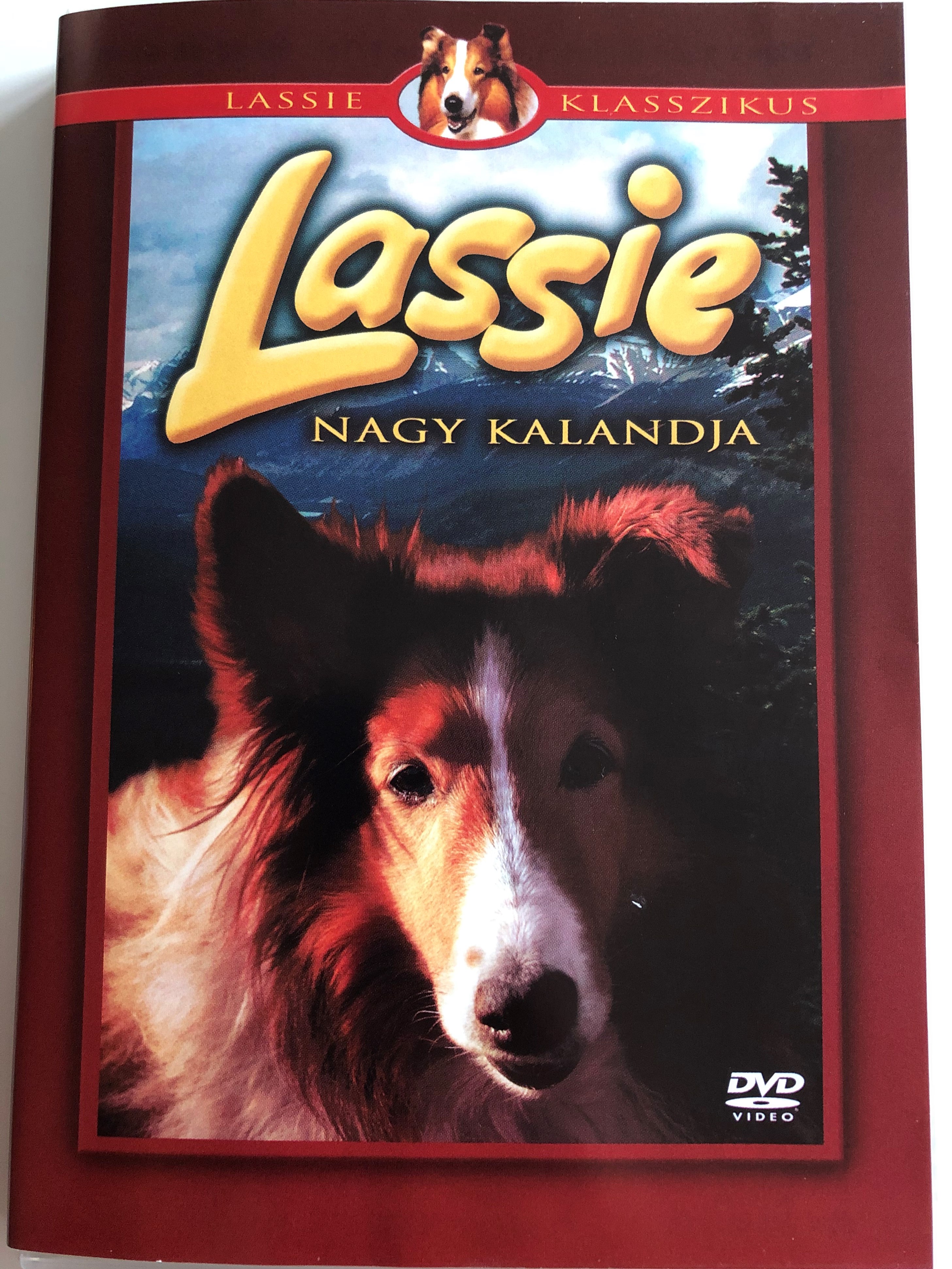 lassie-s-great-adventure-dvd-1963-lassie-nagy-kalandja-1.jpg