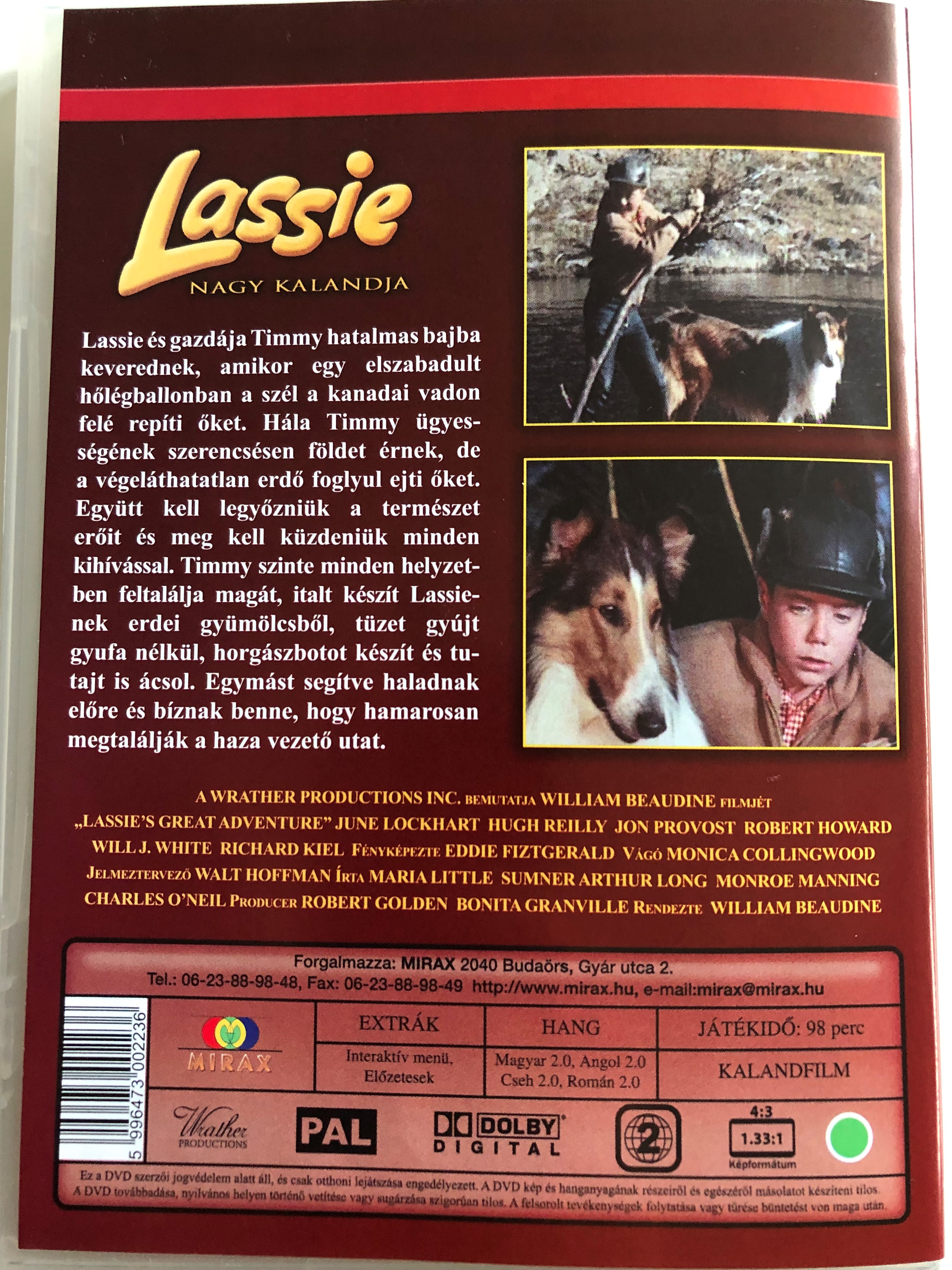lassie-s-great-adventure-dvd-1963-lassie-nagy-kalandja-2.jpg