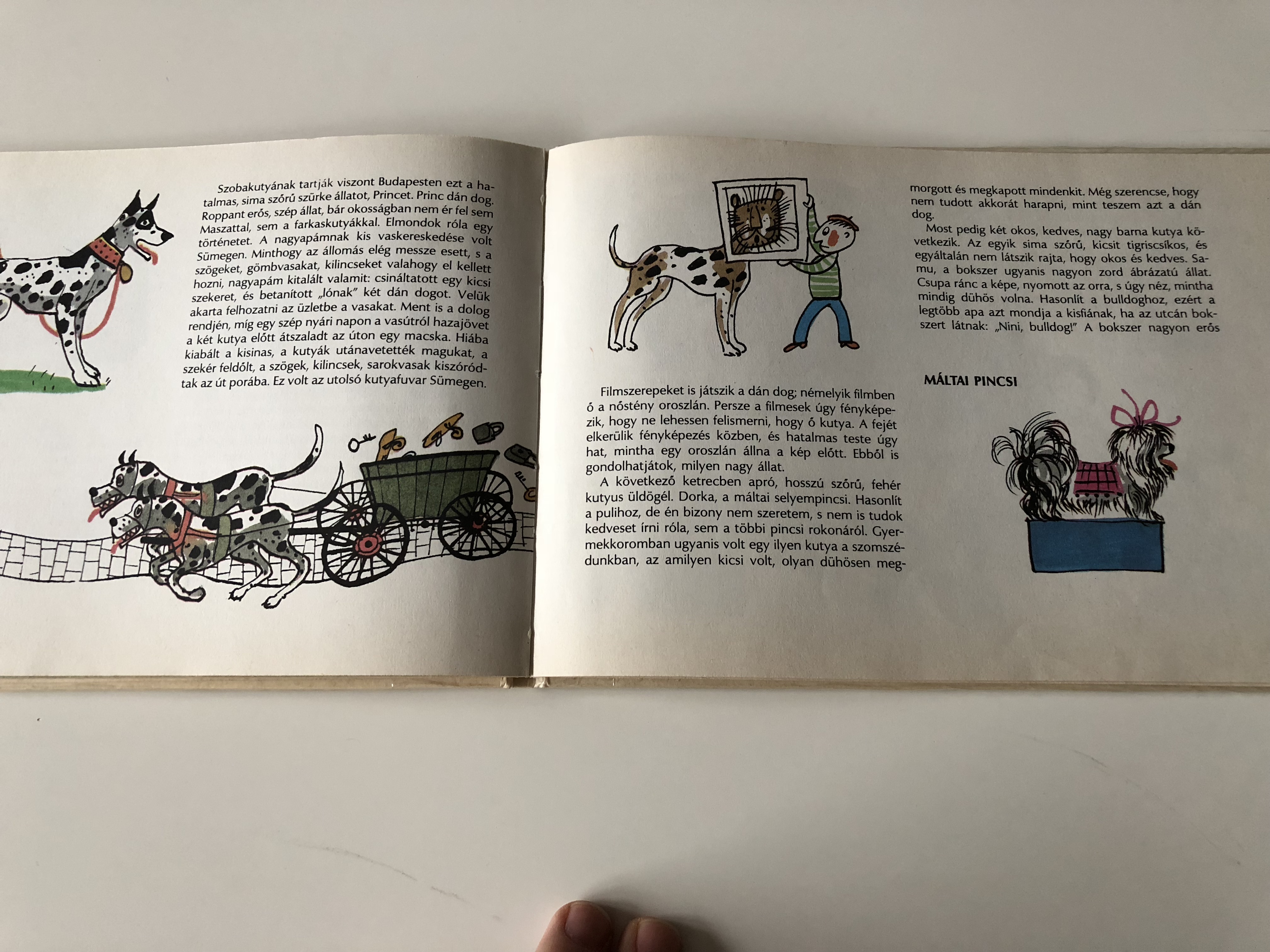maszat-s-t-rsai-m-ra-1972-sz-sz-imre-maszat-and-friends-hungarian-childrens-storybook-about-dogs-hardcover.jpg
