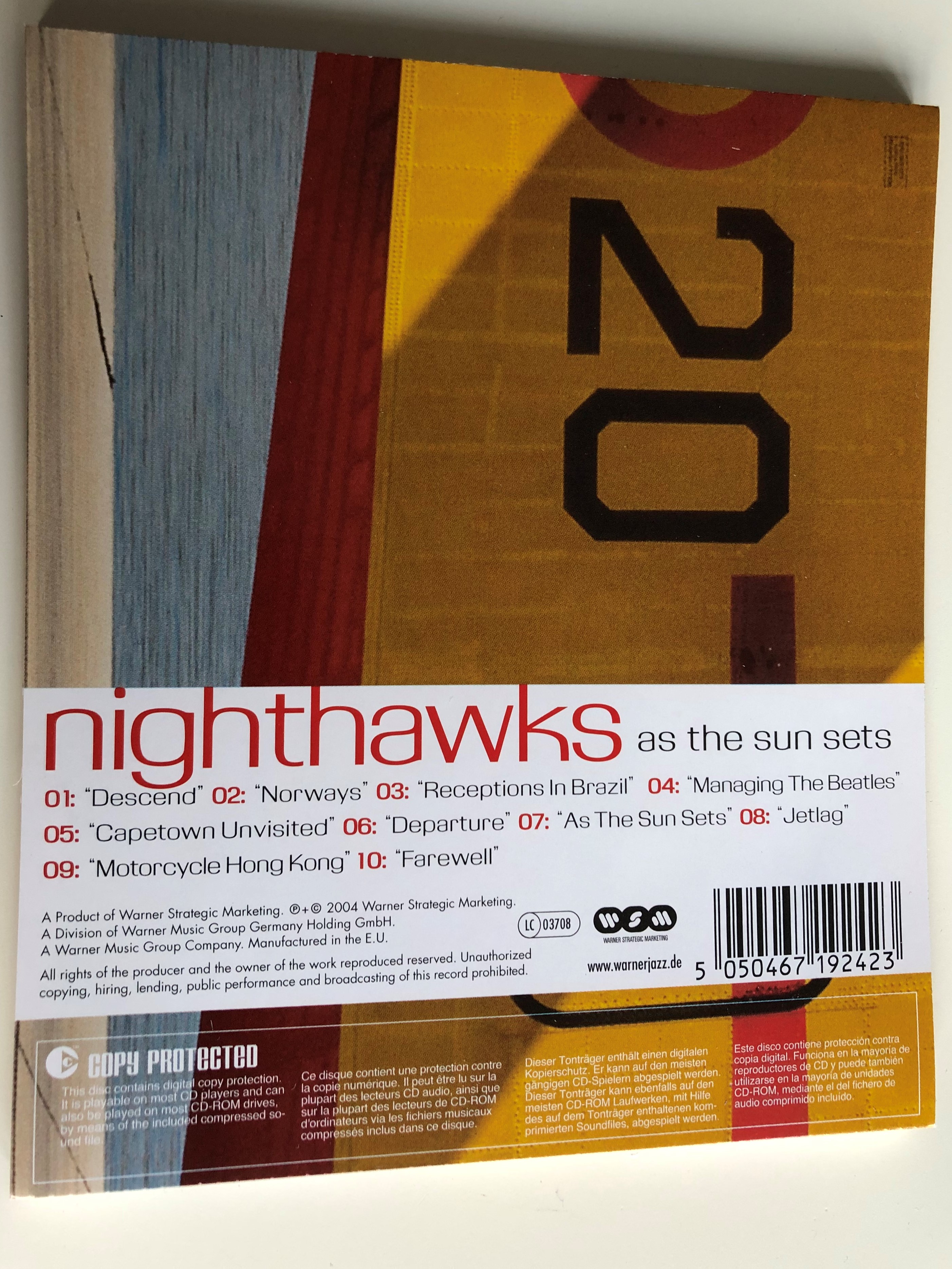 nighthawks-as-the-sun-setsimg-4118.jpg