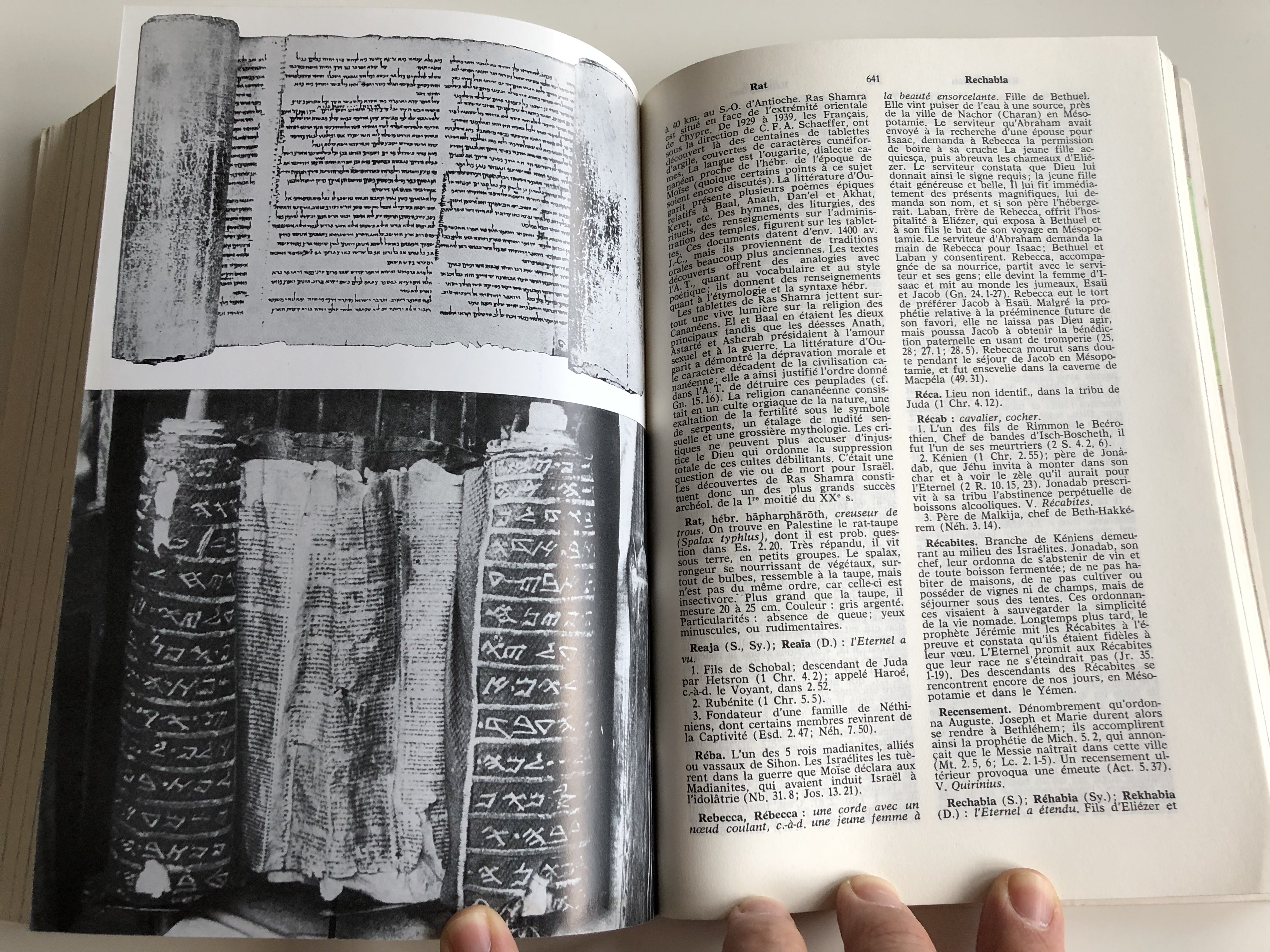 nouveau-dictionnaire-biblique-french-bible-dictionary-11-.jpg